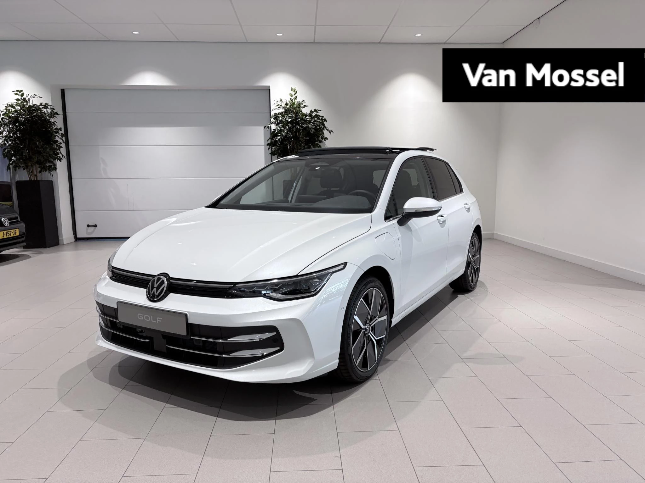 Volkswagen-Golf-image-0