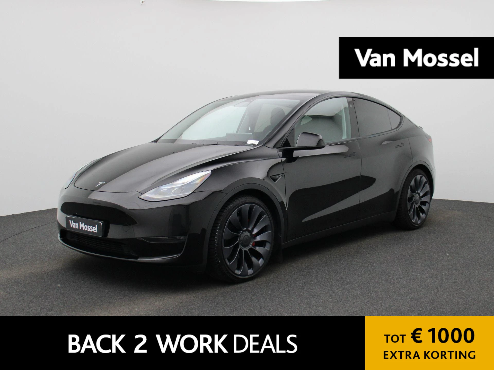 Tesla-Model Y-image-0