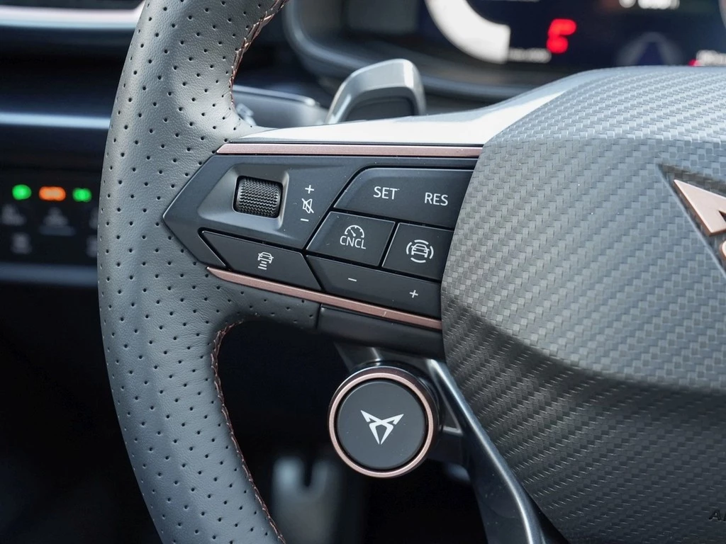 CUPRA Formentor VZ 4Drive Black Edition /HD-MatrixLED