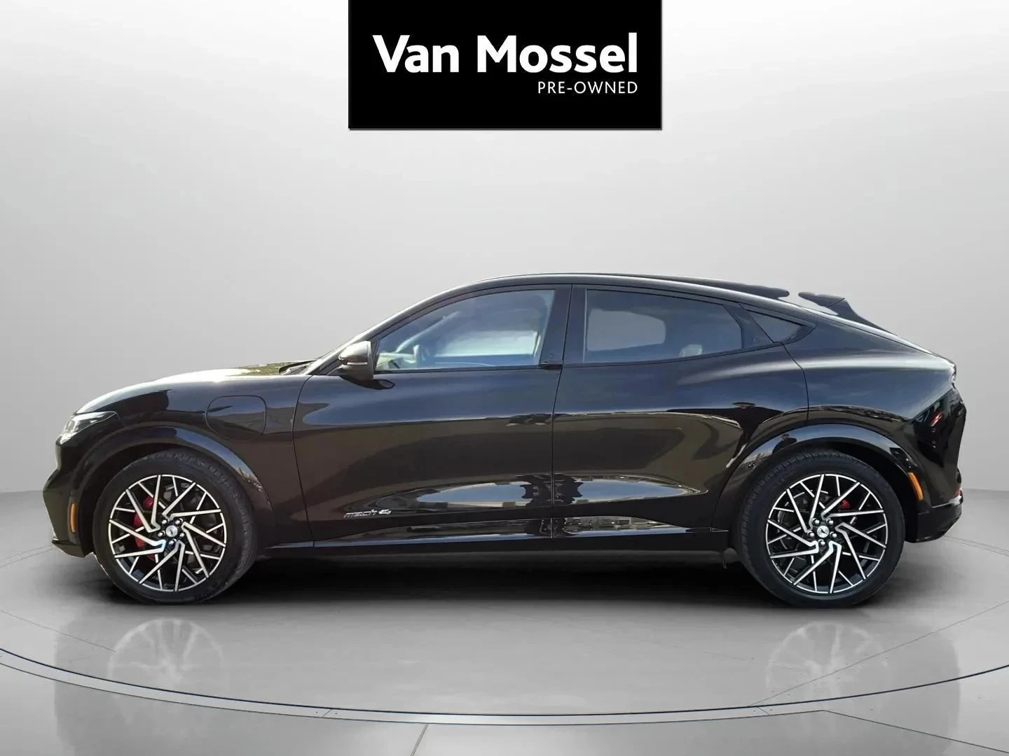 Ford-Mustang Mach-E-image-7