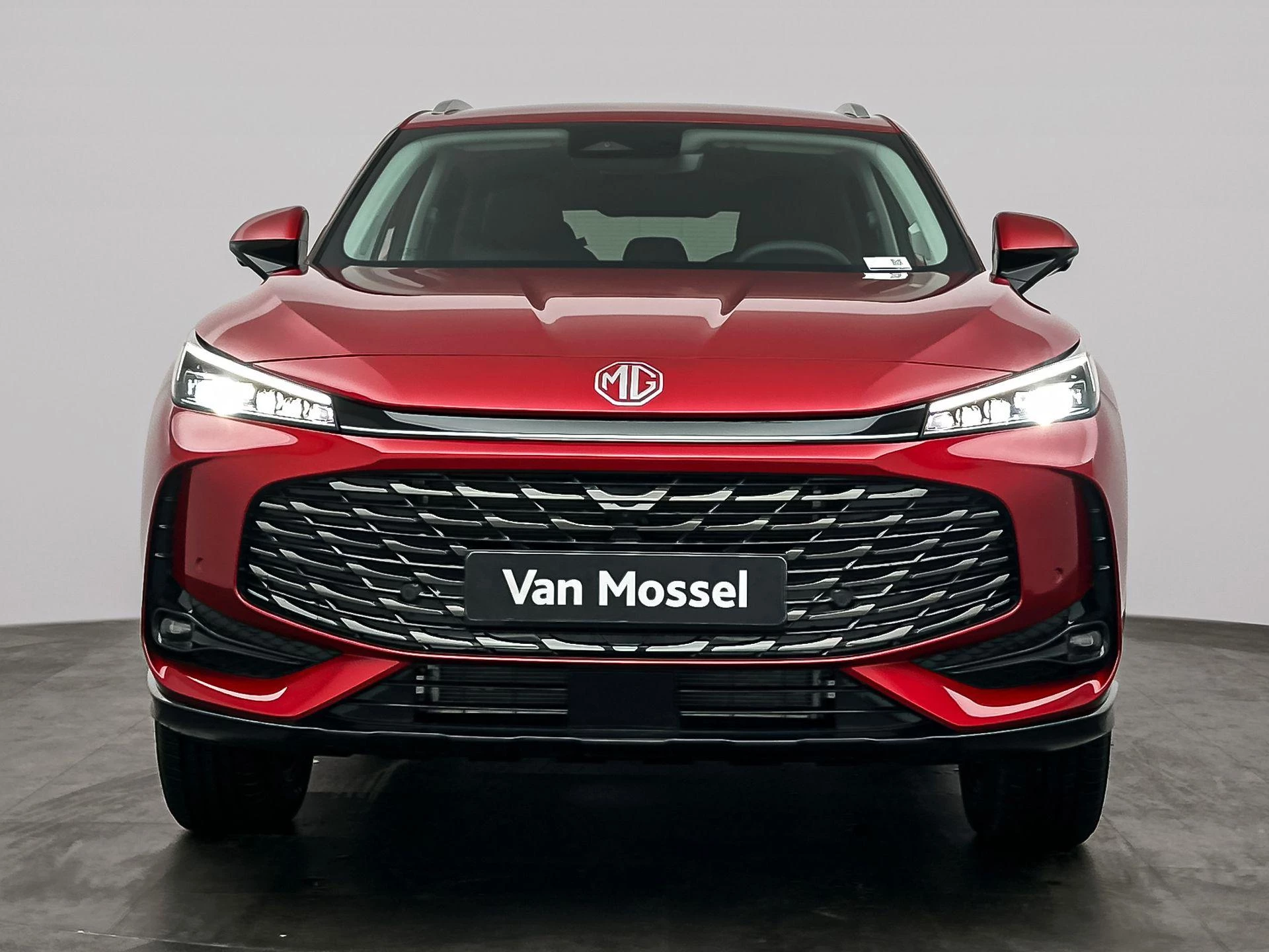 MG-HS-image-8