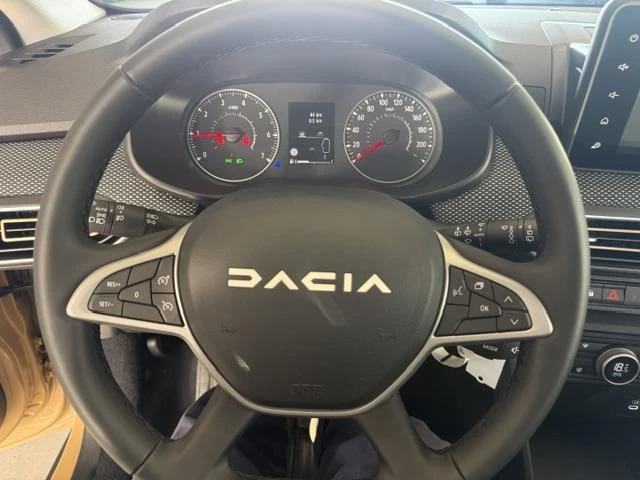 Dacia-Sandero Stepway-image-9
