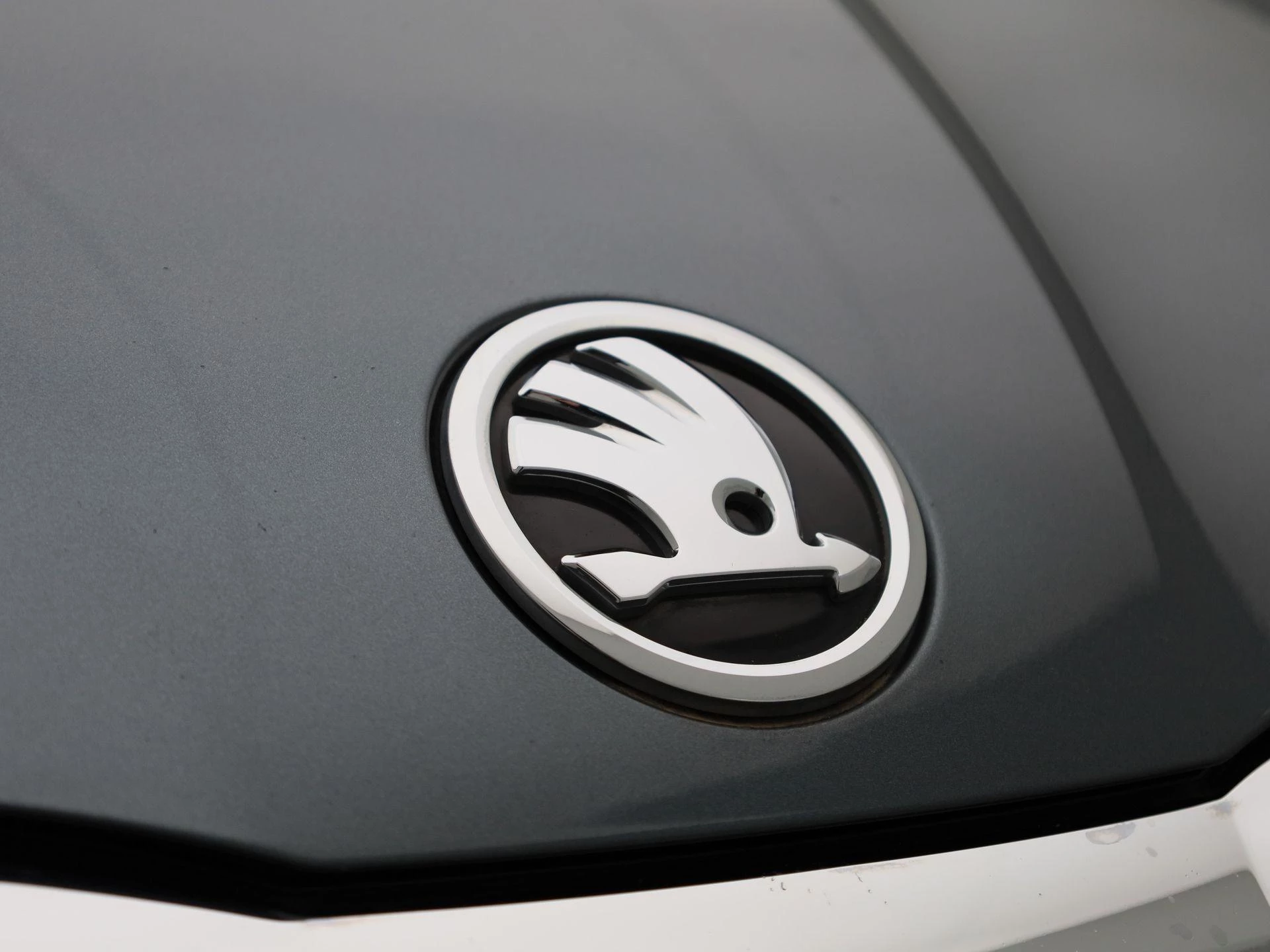 Škoda-Octavia-image-37