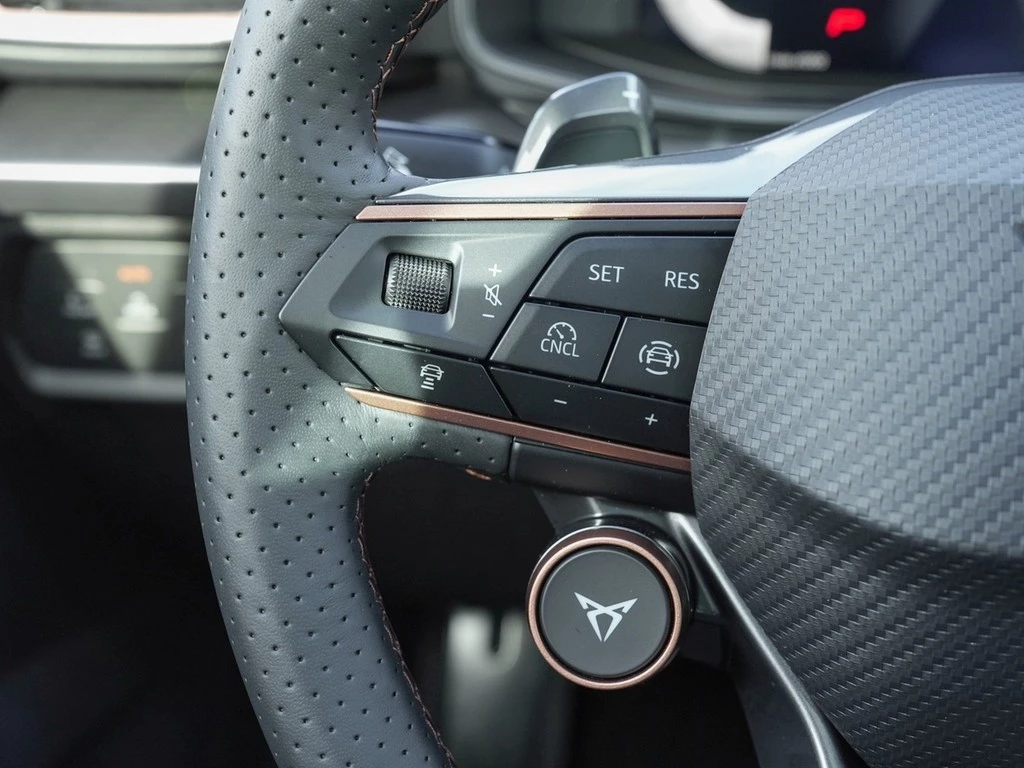 CUPRA Formentor VZ 4Drive Black Edition /Pano/AHK/Navi