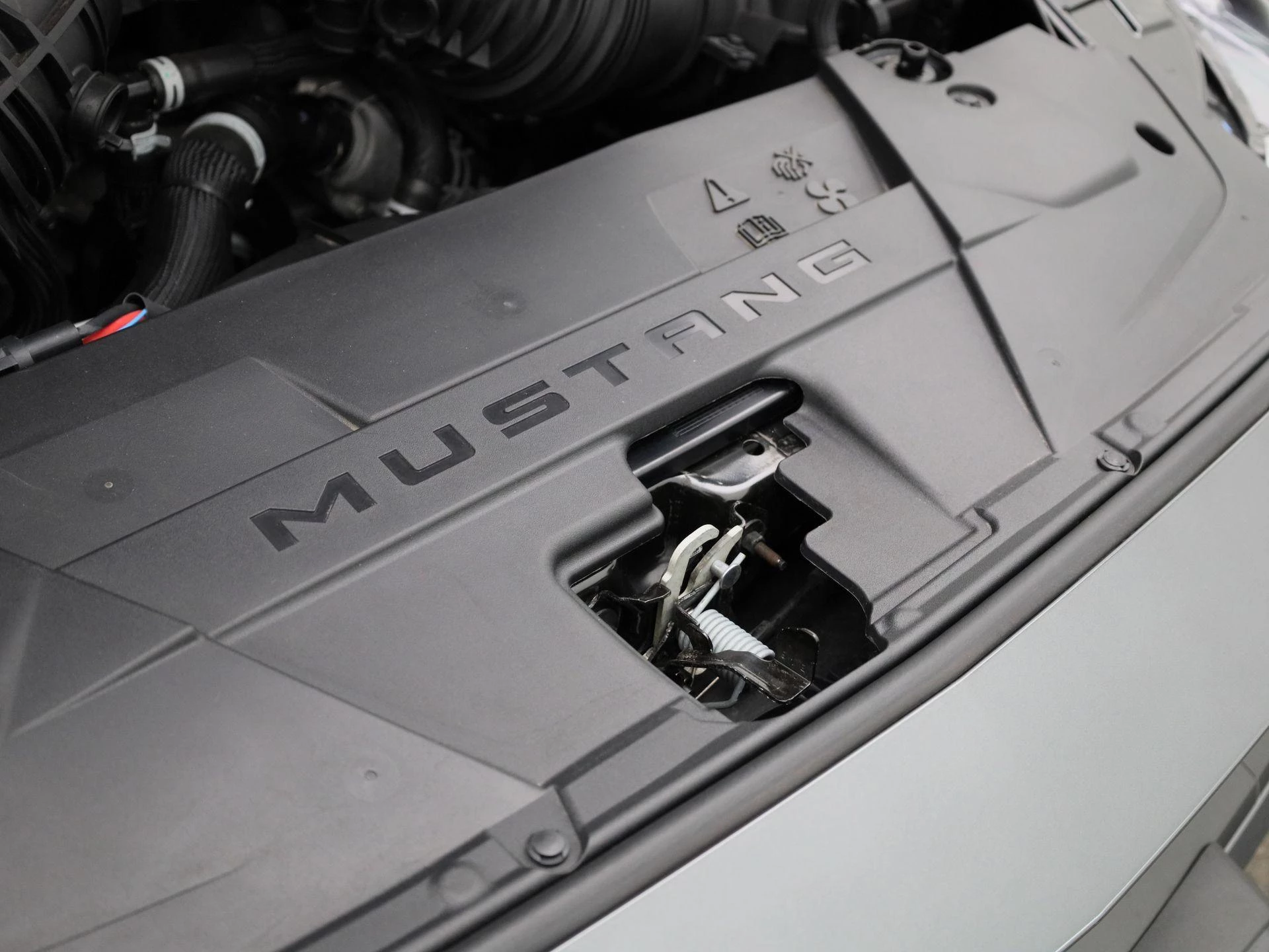 Ford Mustang 5.0i V8 Aut. Dark Horse