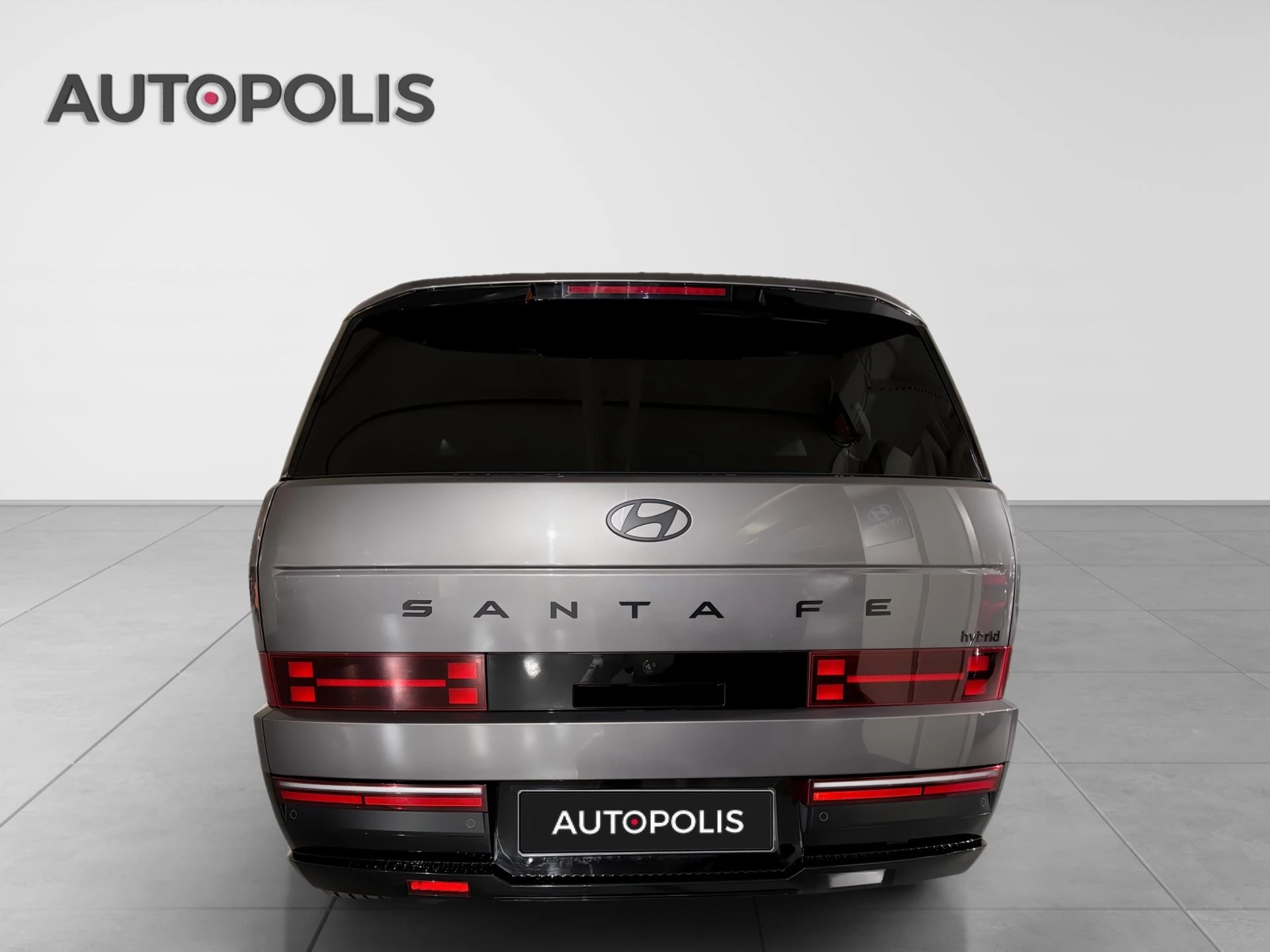 Hyundai-Santa Fe-image-9