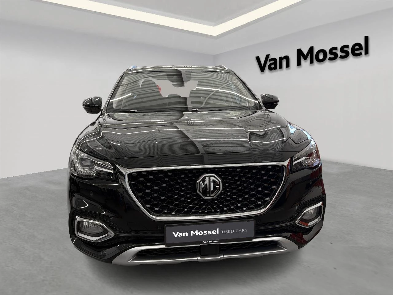 MG-EHS-image-1