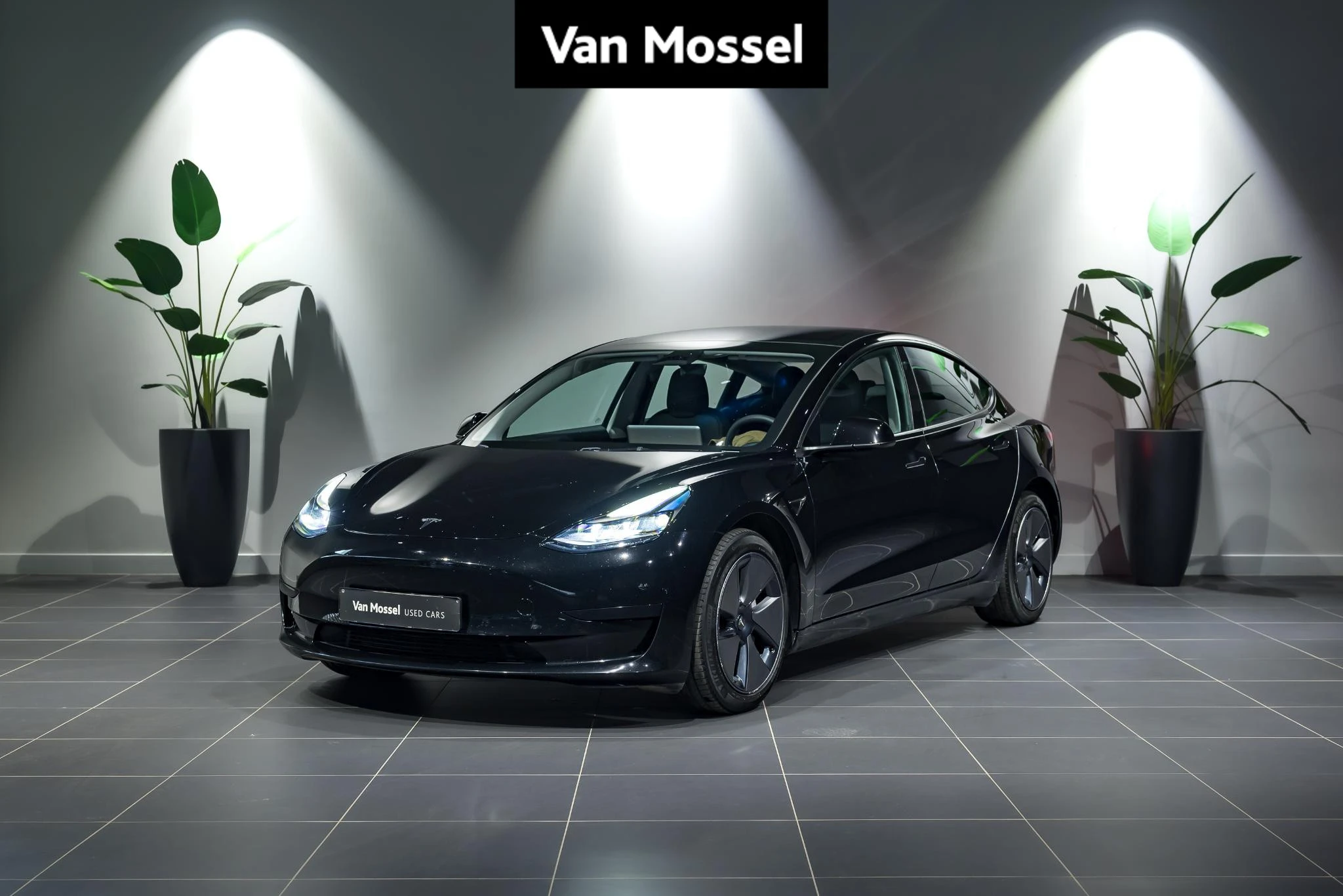 Tesla-Model 3-image-0