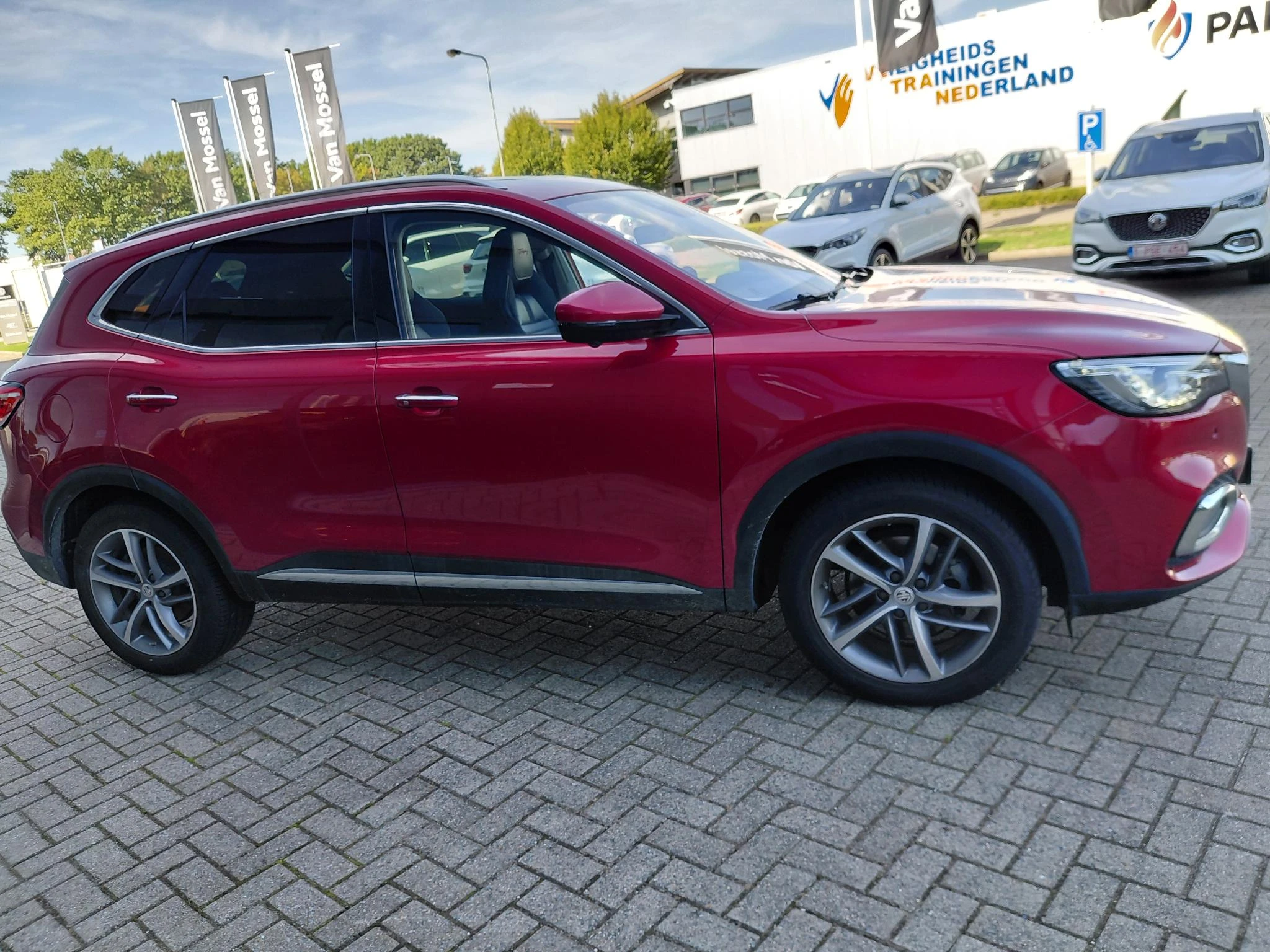 MG-EHS-image-5