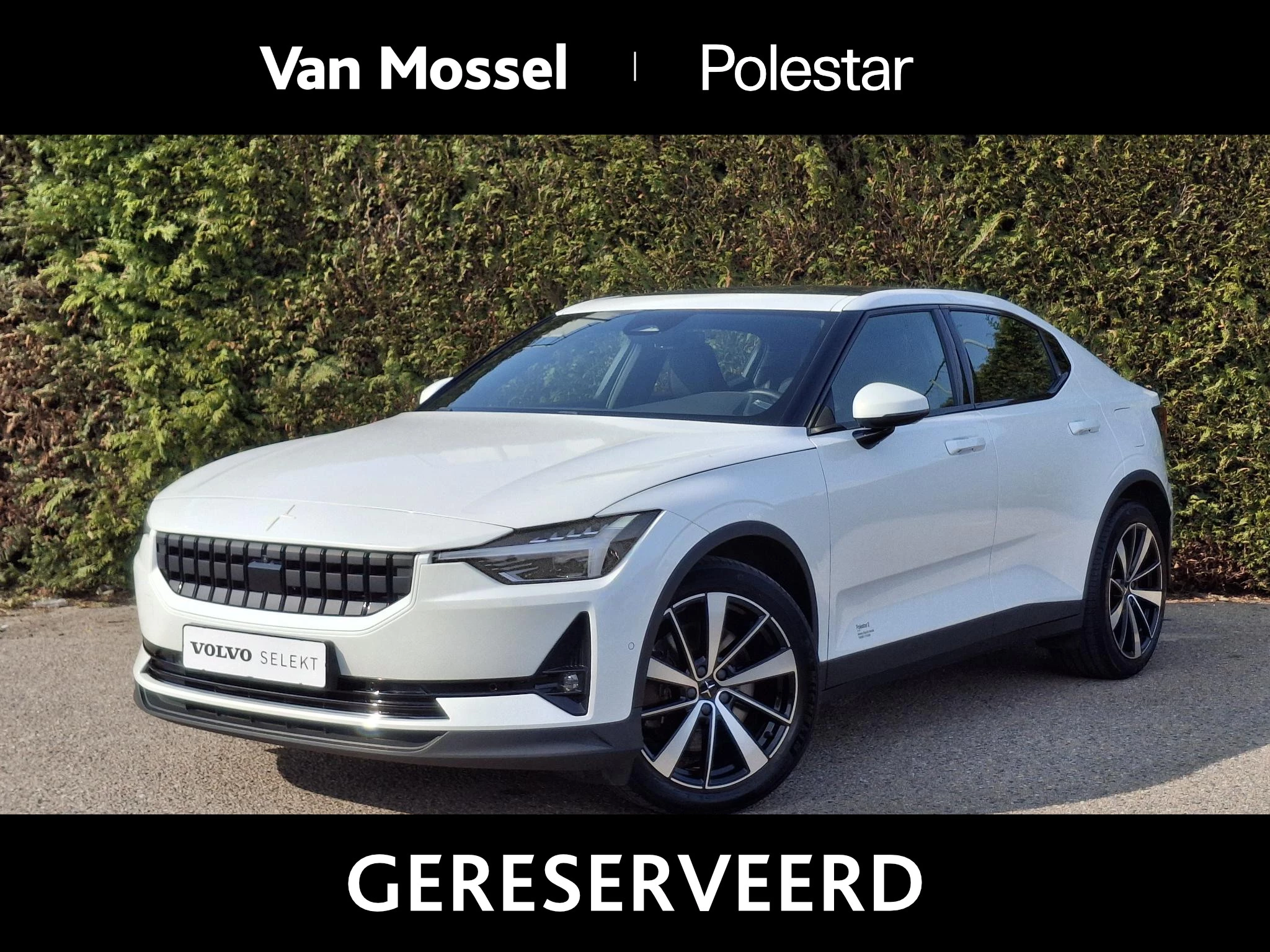 Polestar-2-image-0