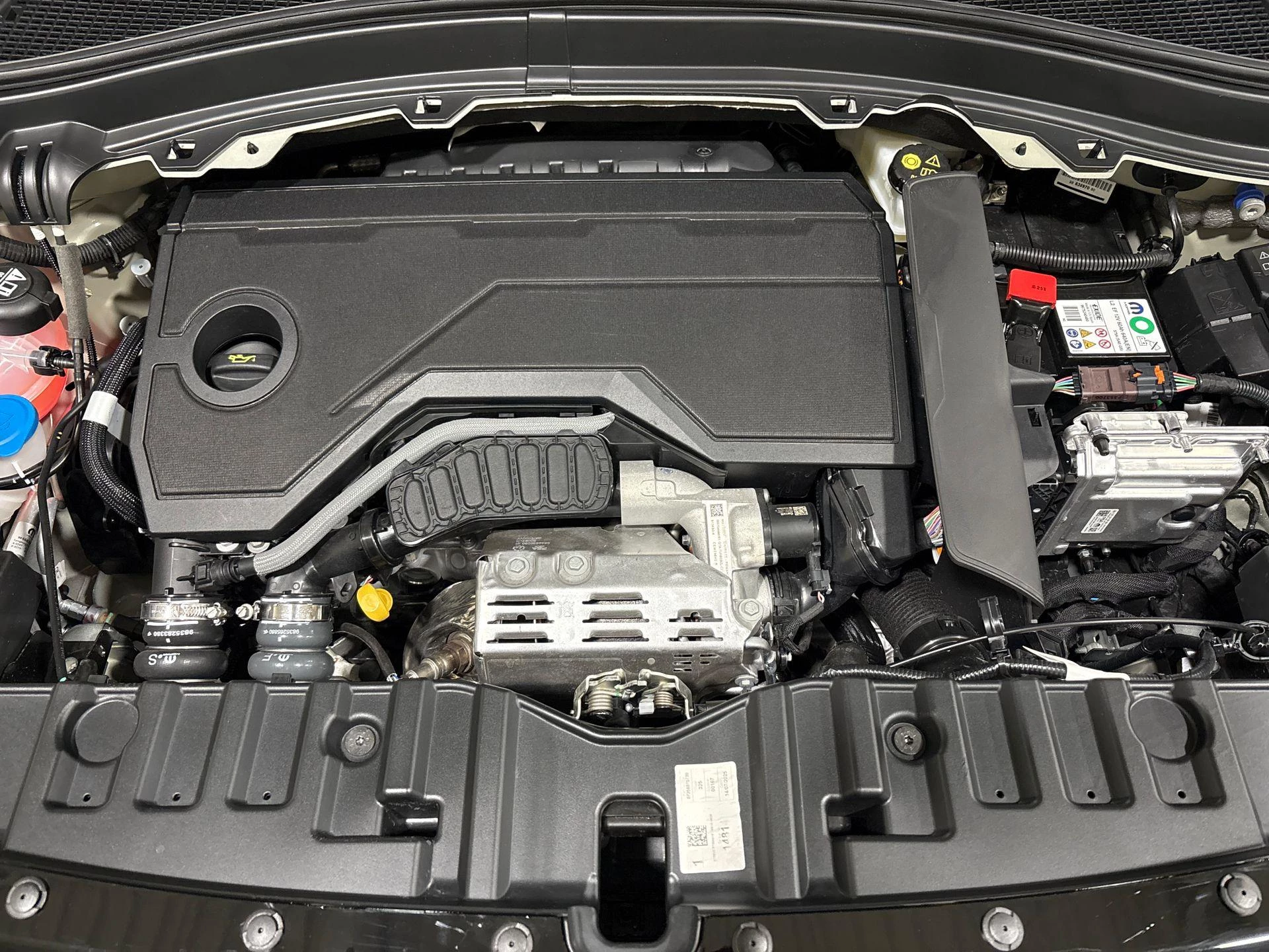 Fiat-Grande Panda-image-21