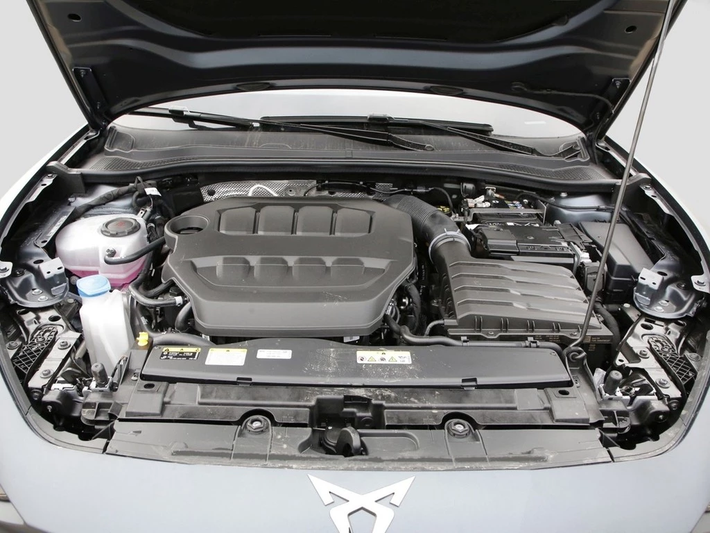 CUPRA Leon Sportstourer 2.0 TSI UPE 65.235 VZ Tribe Ed