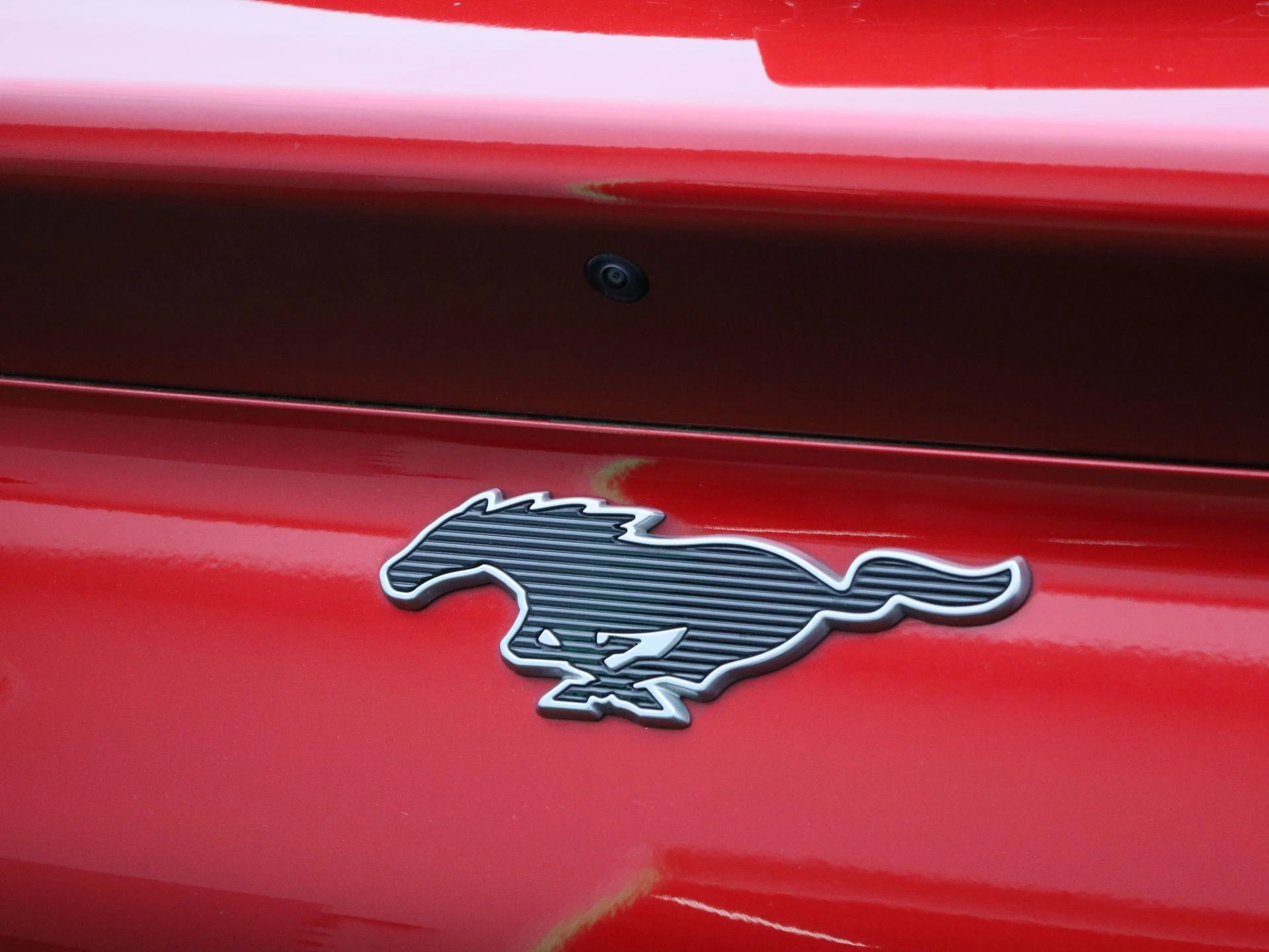 Ford-Mustang Mach-E-image-54