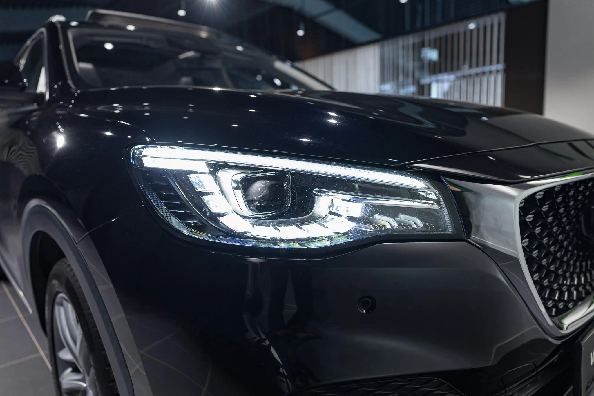 MG-EHS-image-6
