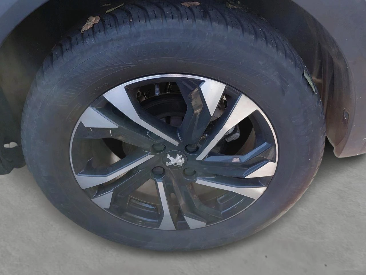 Peugeot-2008-image-5