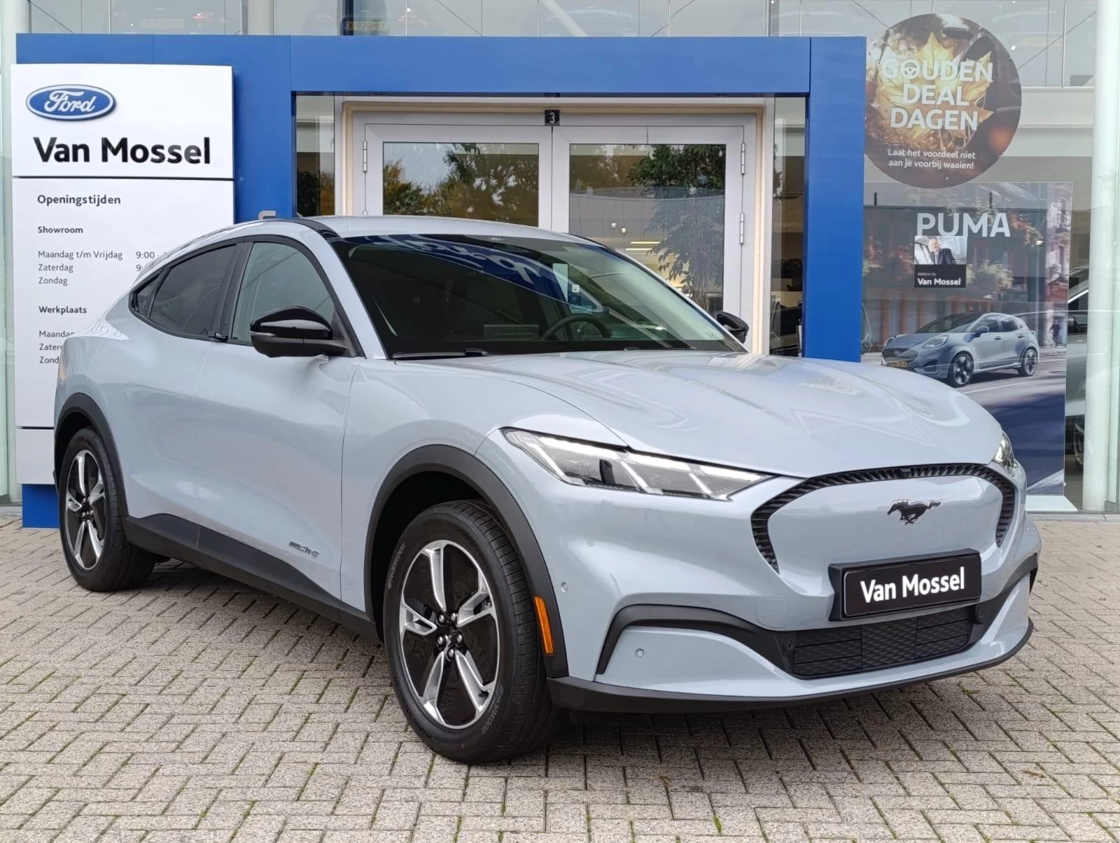 Ford-Mustang Mach-E-image-1