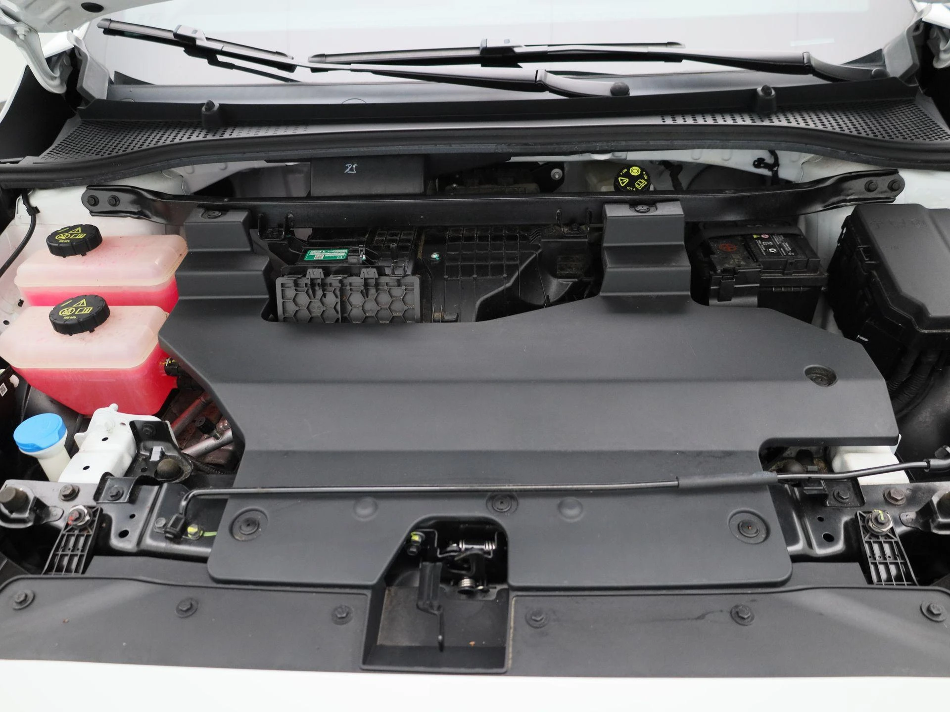 MG-MG4 EV-image-28