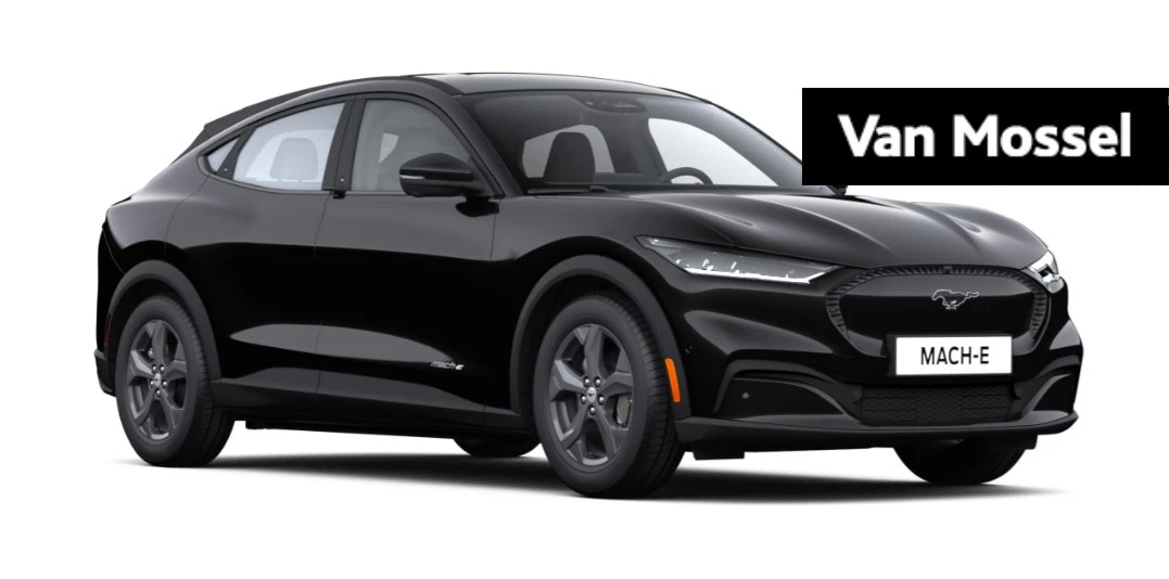 Ford-Mustang Mach-E-image-0