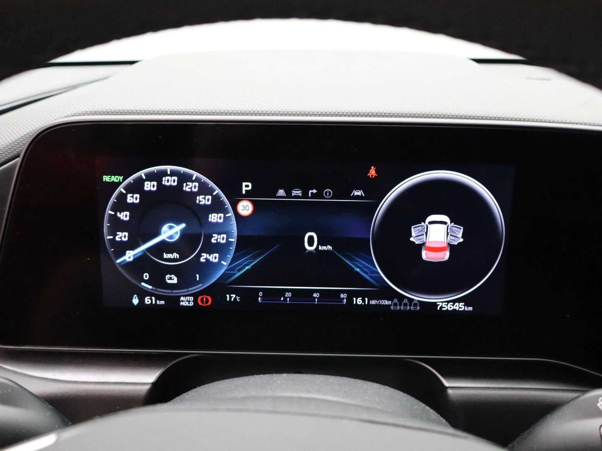 Kia-Niro EV-image-7