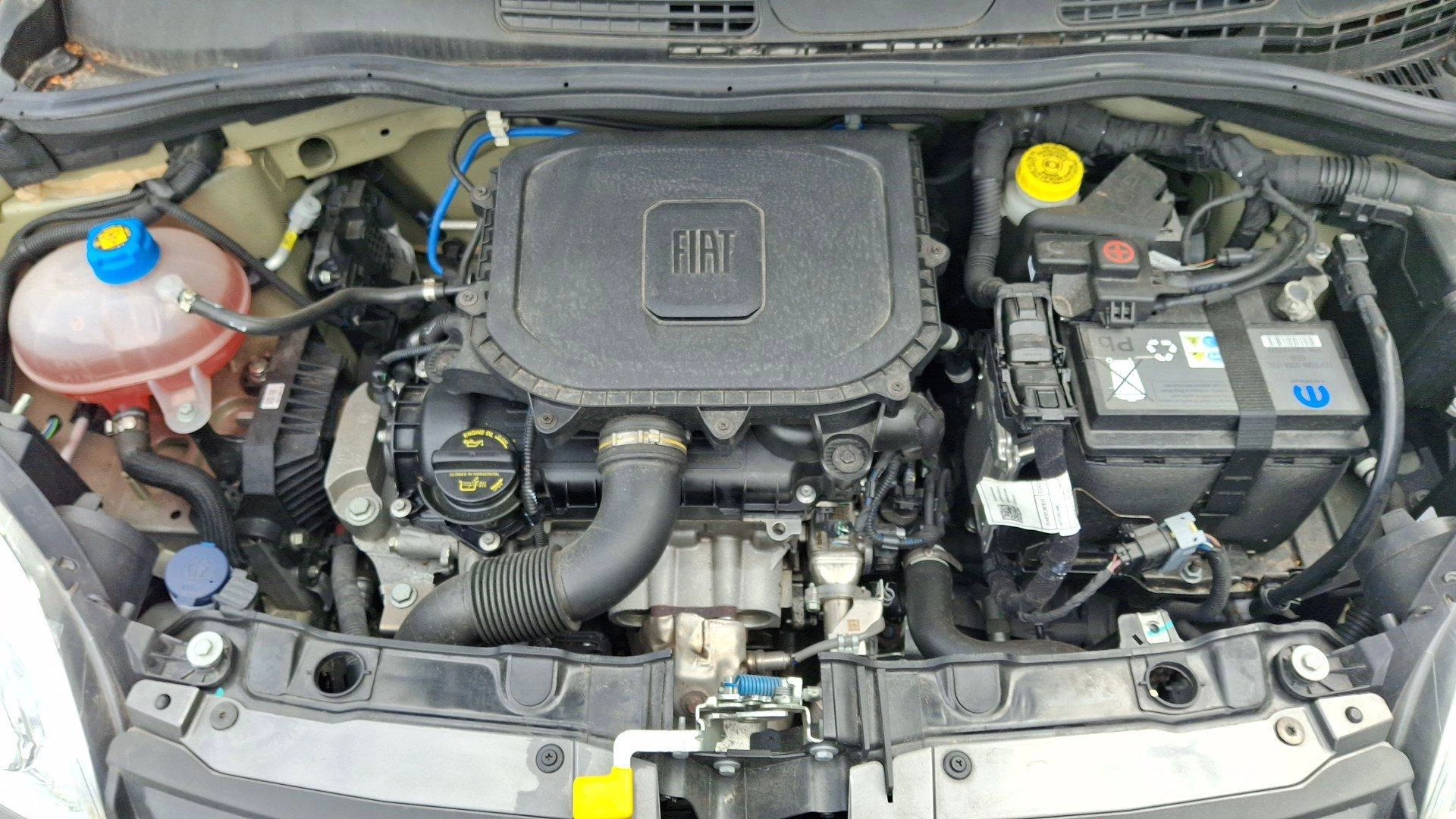 Fiat-Panda-image-10