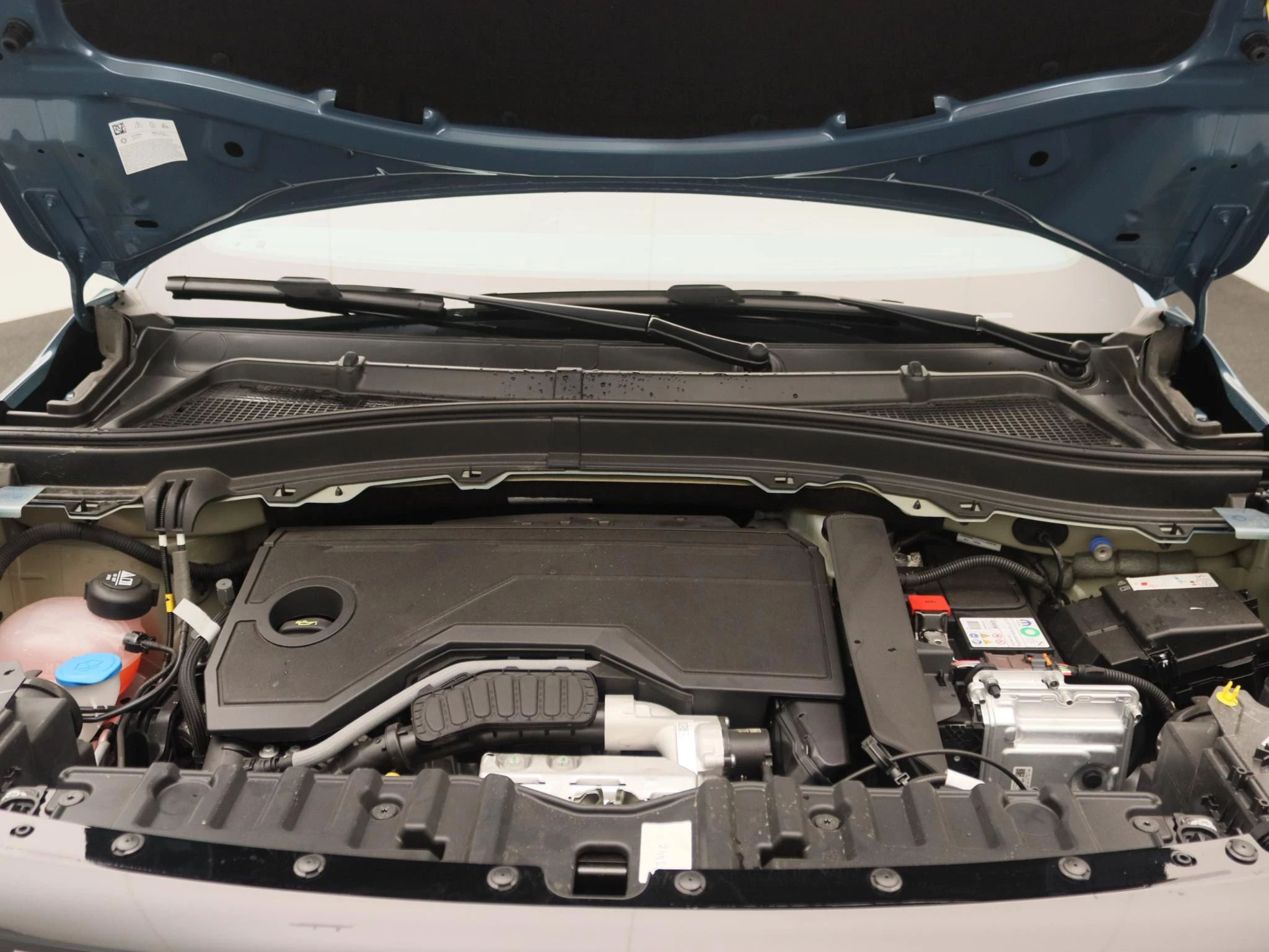 Fiat-Grande Panda-image-20