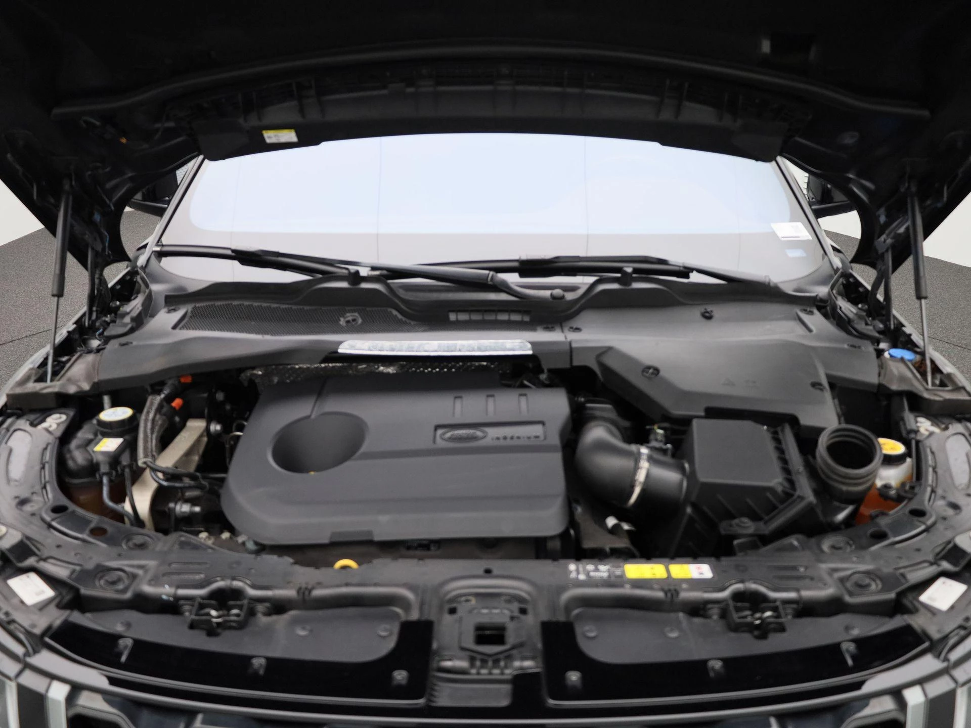 Land Rover-Range Rover Evoque-image-47