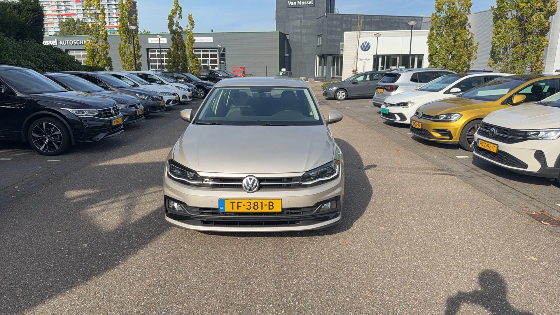 Volkswagen-Polo-image-8