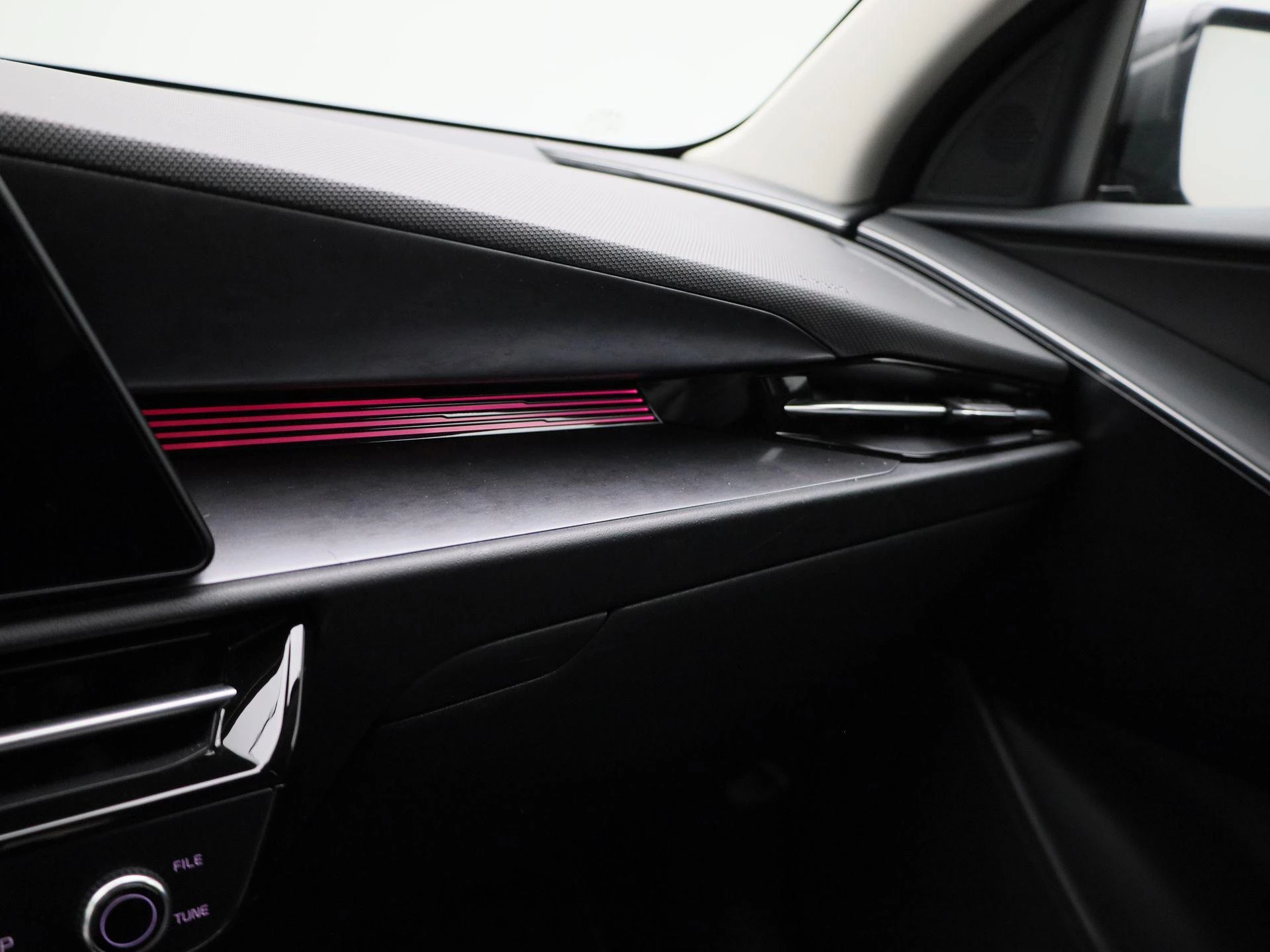 Kia-Niro EV-image-17