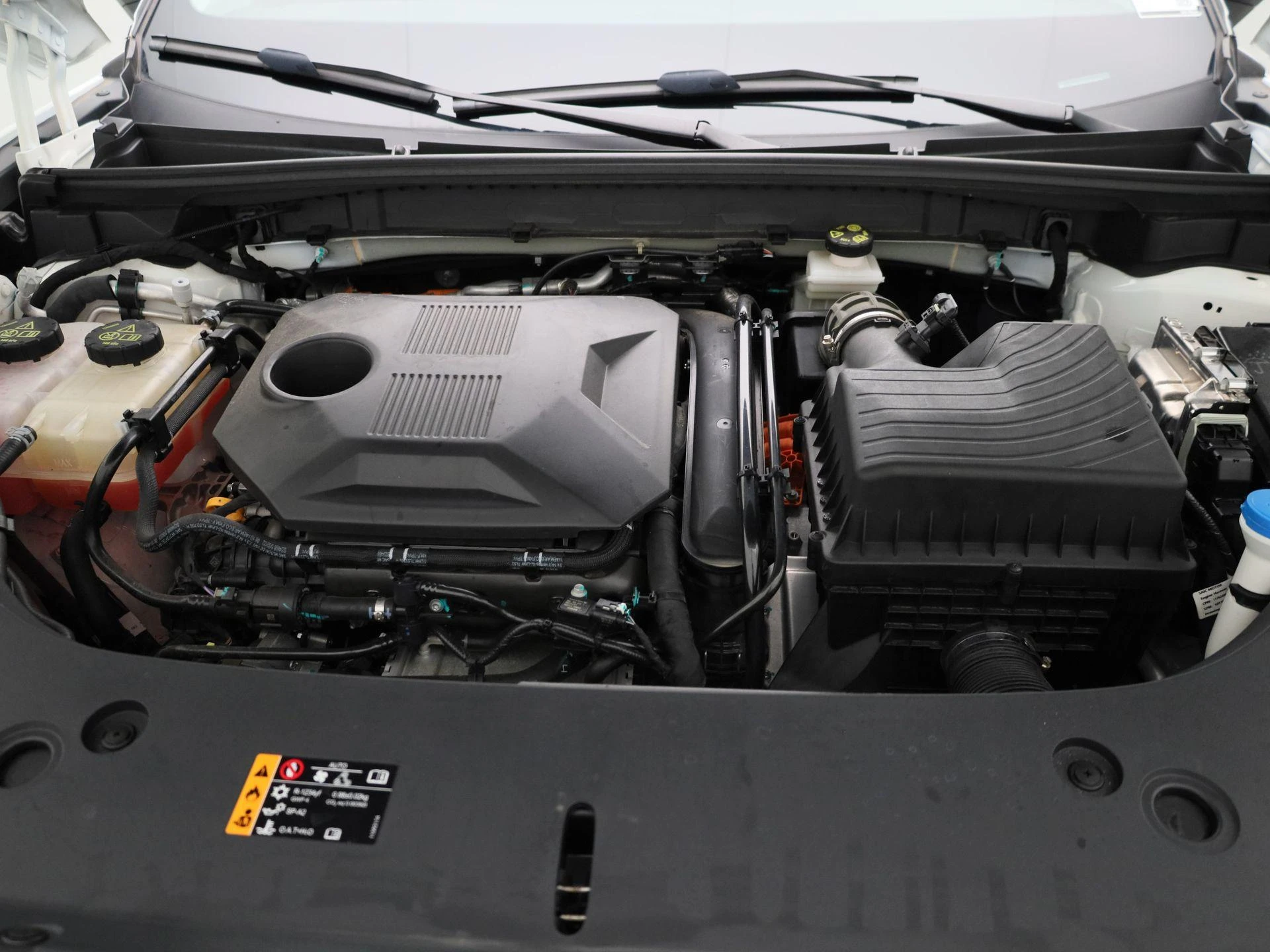 MG-HS-image-36