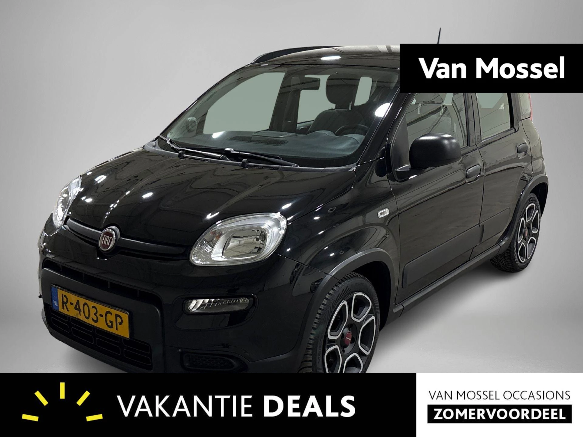 Fiat-Panda-image-0