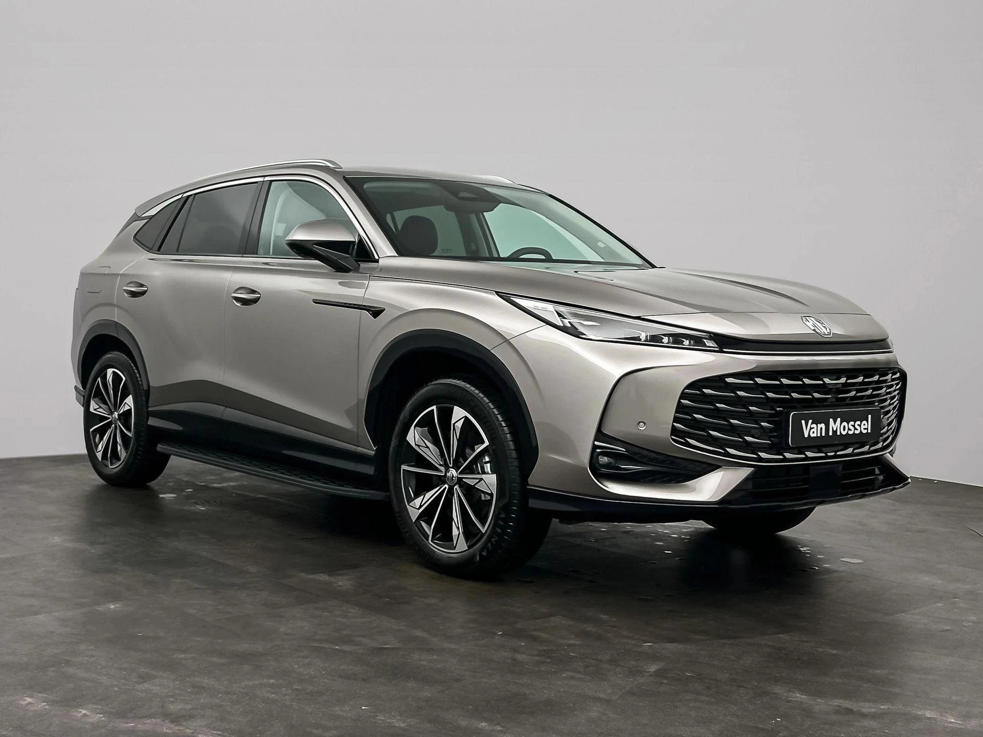 MG-HS-image-4