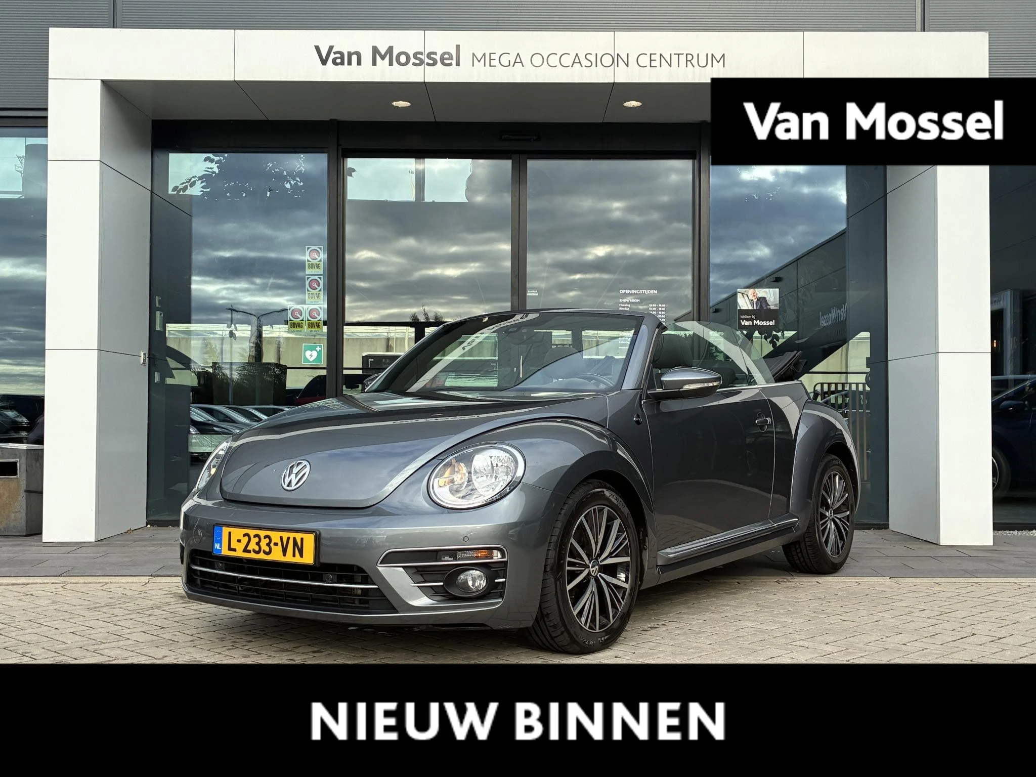 Volkswagen-Beetle-image-0