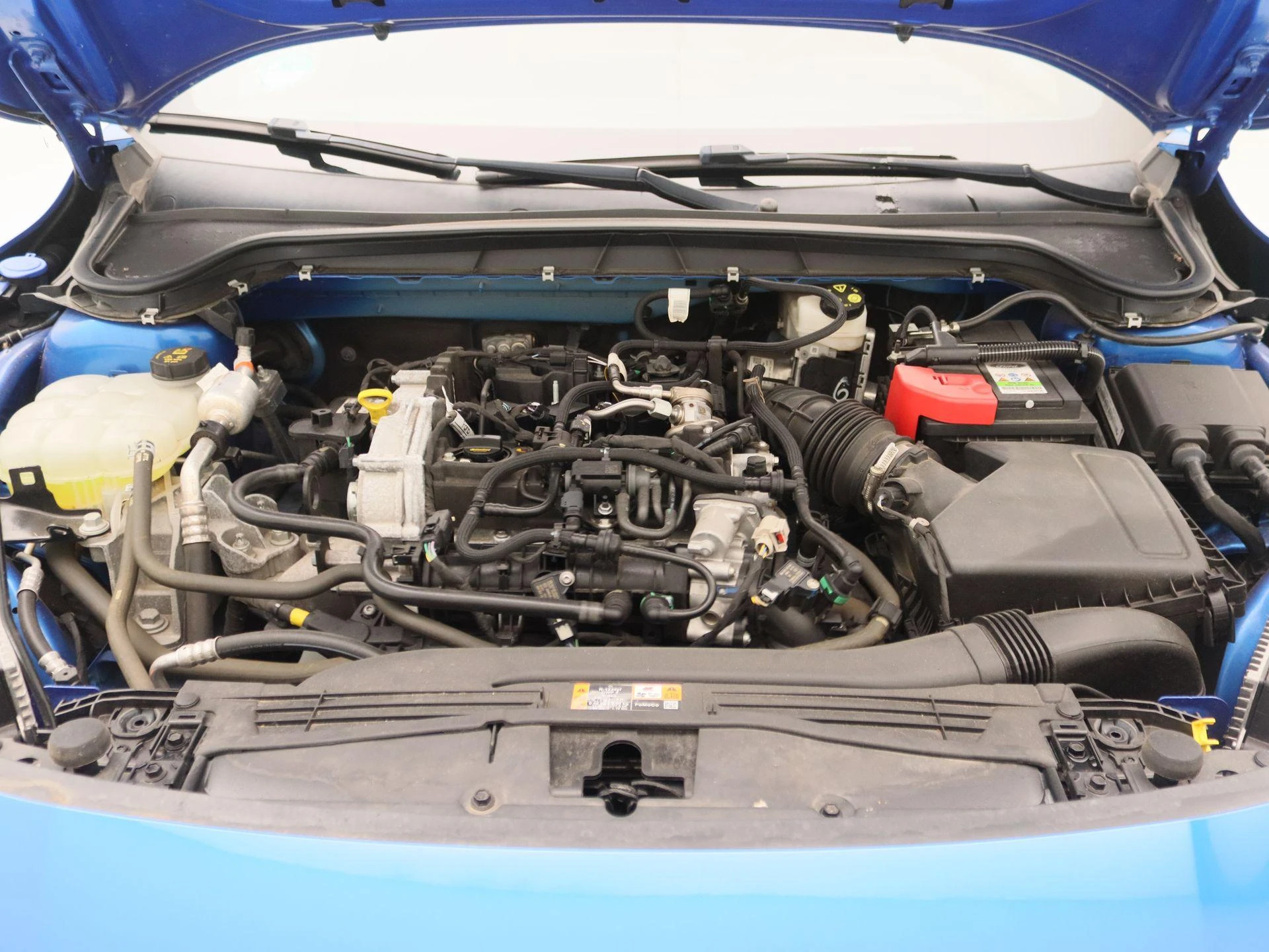Ford-Focus-image-25