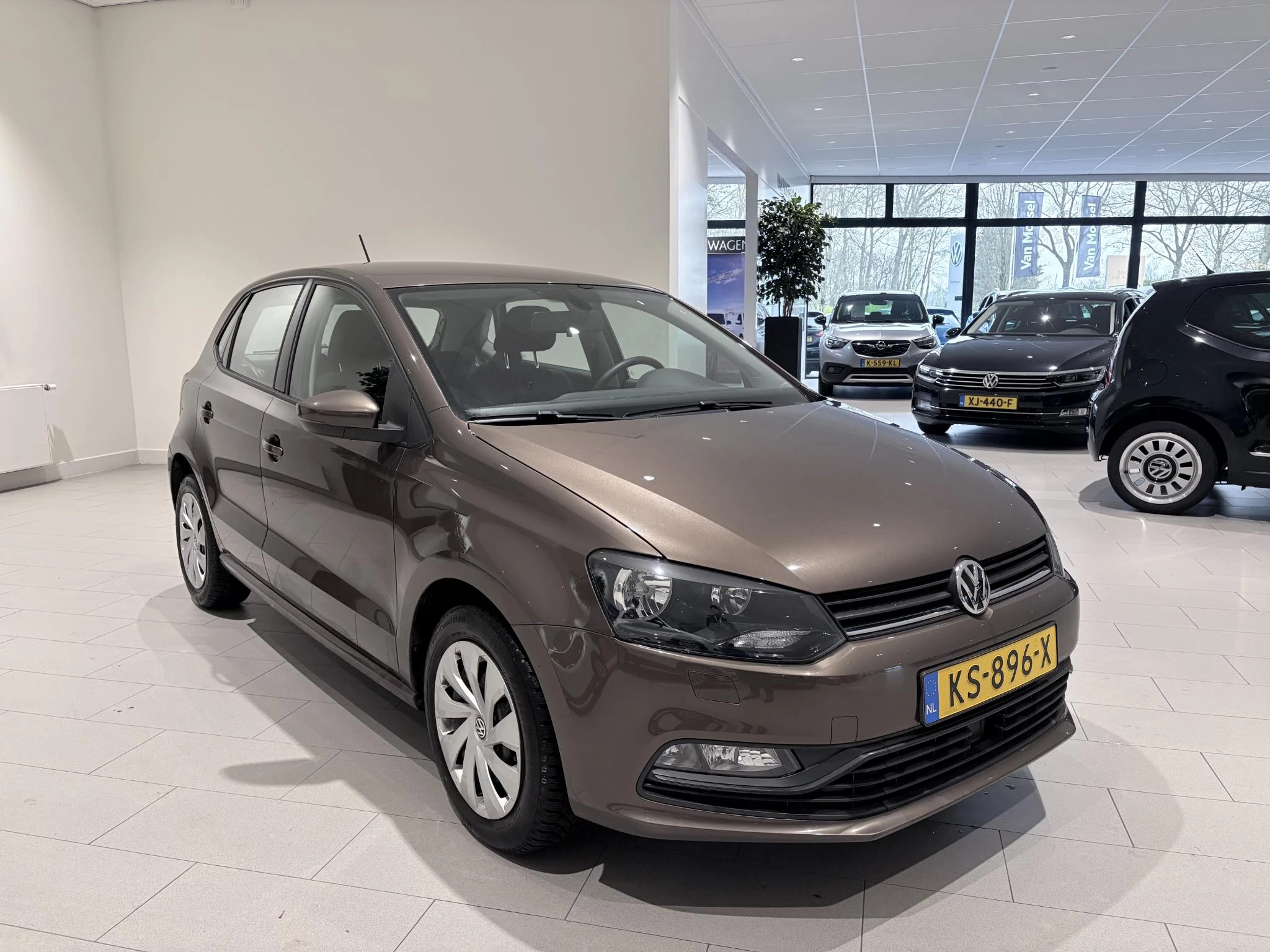 Volkswagen-Polo-image-6