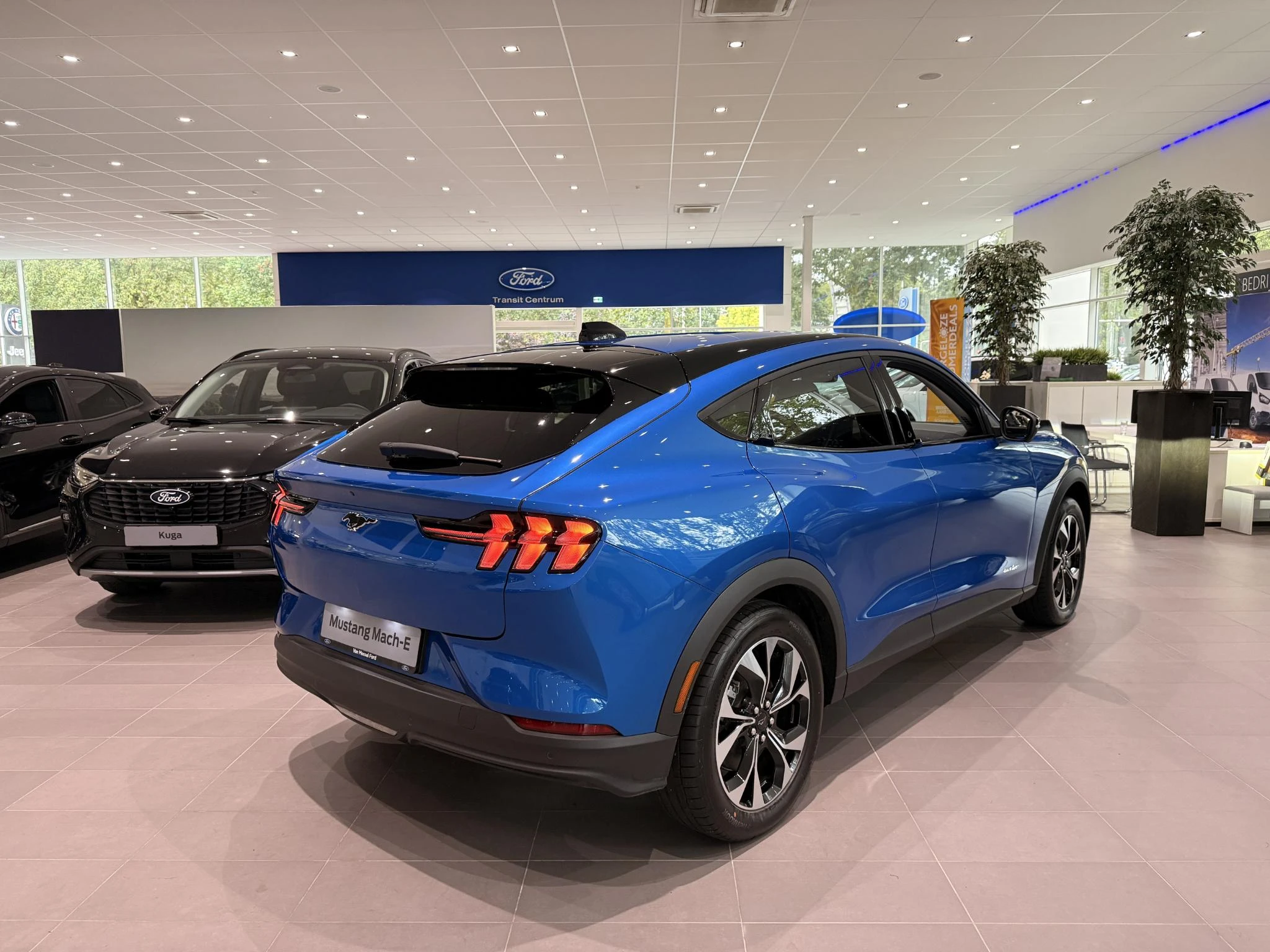 Ford-Mustang Mach-E-image-3