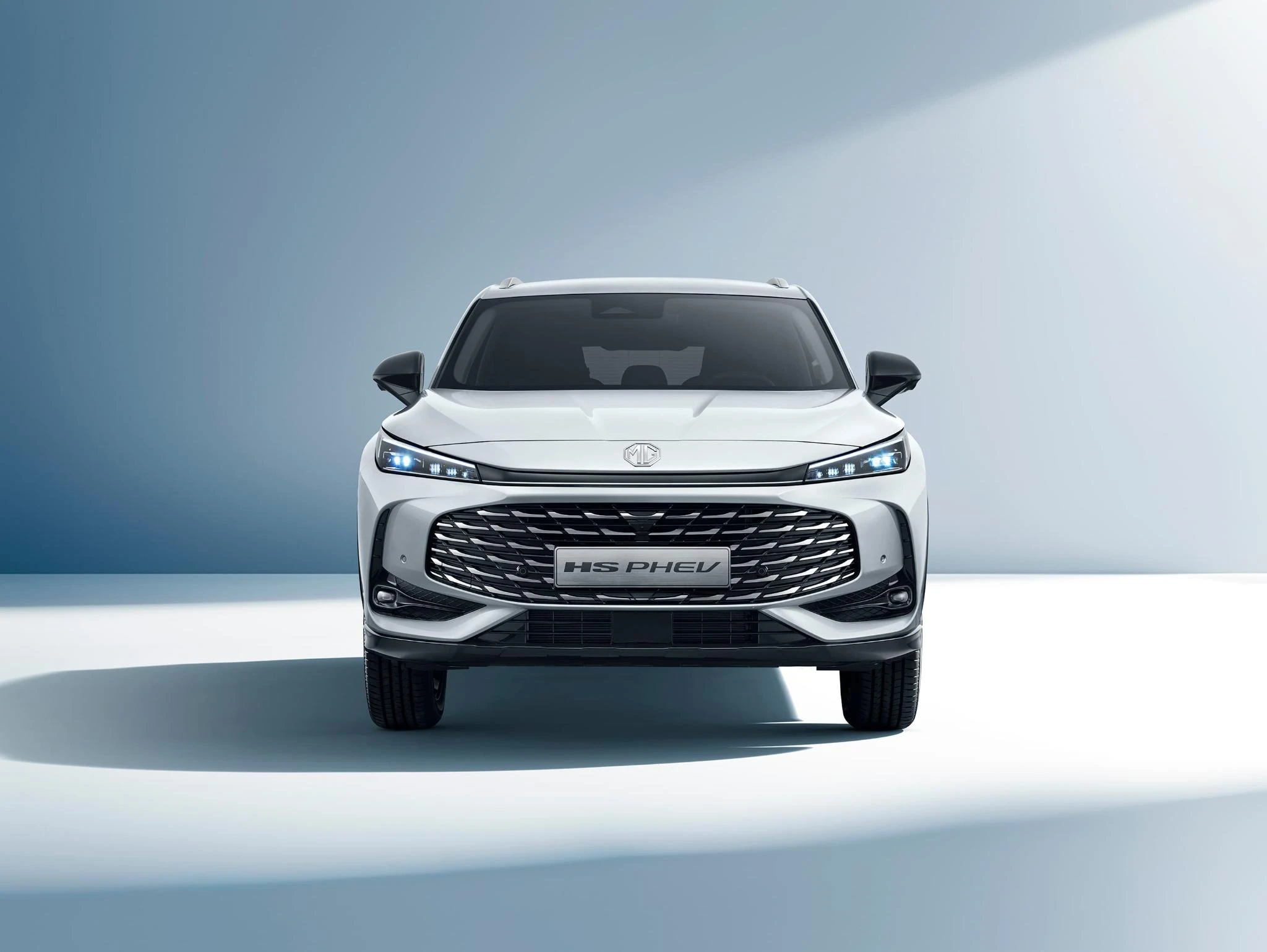 MG-HS-image-2