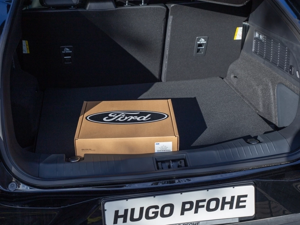 Ford-Mustang Mach-E-image-8