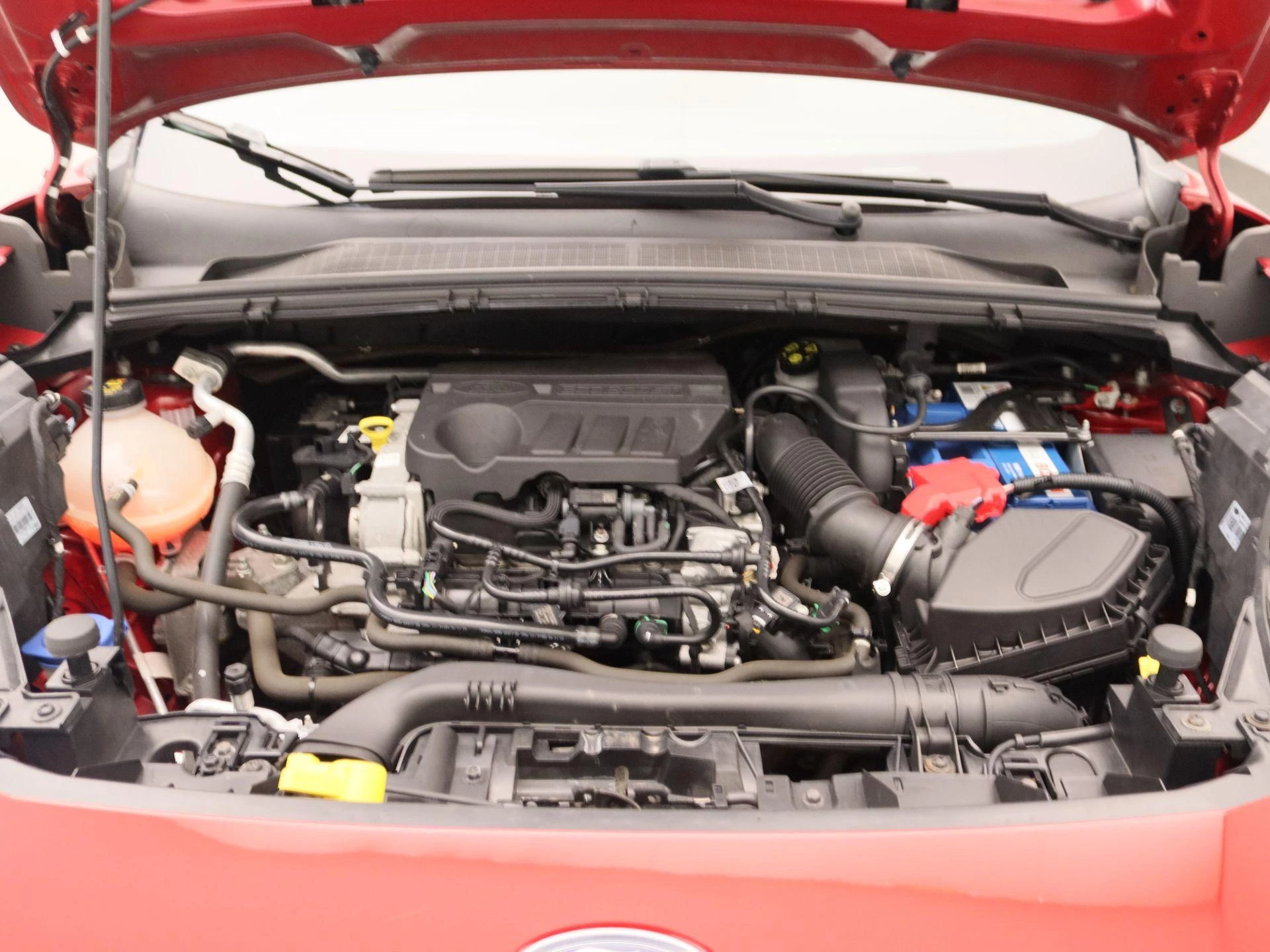 Ford-Puma-image-29
