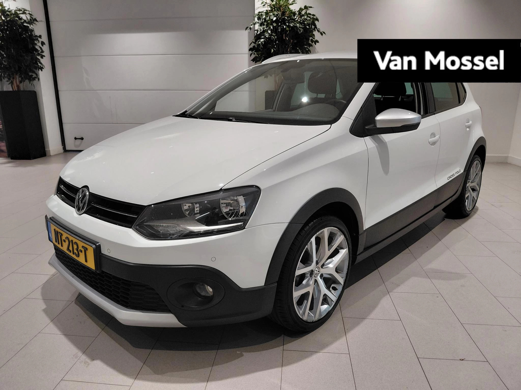 Volkswagen-Polo-image-0