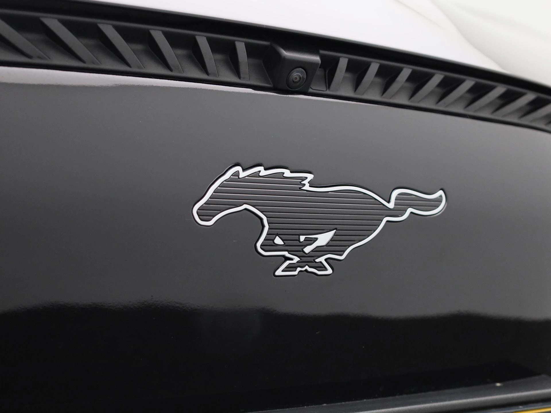 Ford-Mustang Mach-E-image-43