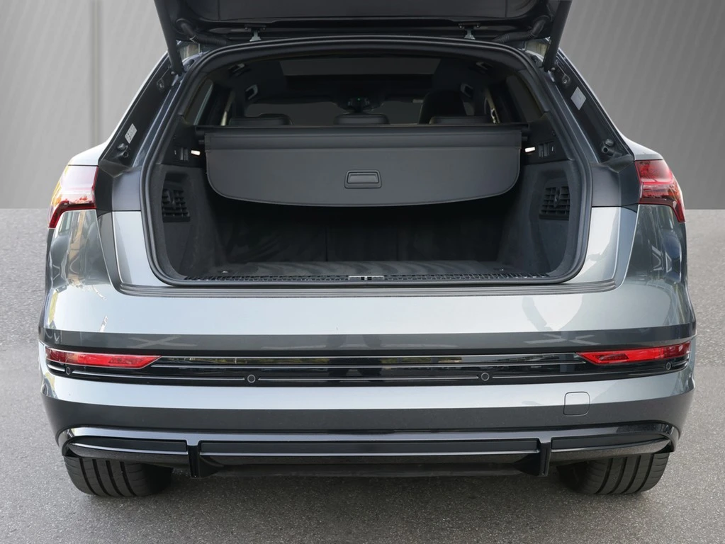 Audi-e-tron-image-5
