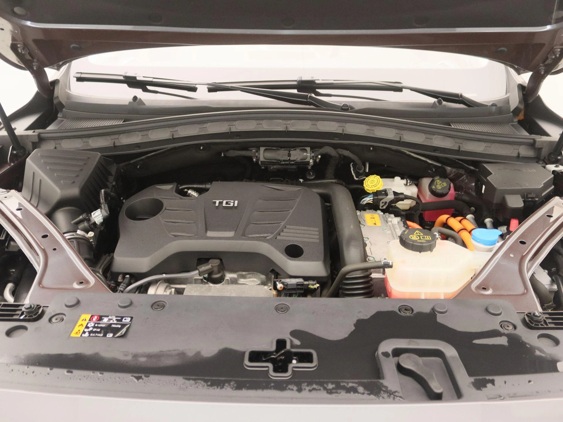 MG-EHS-image-27