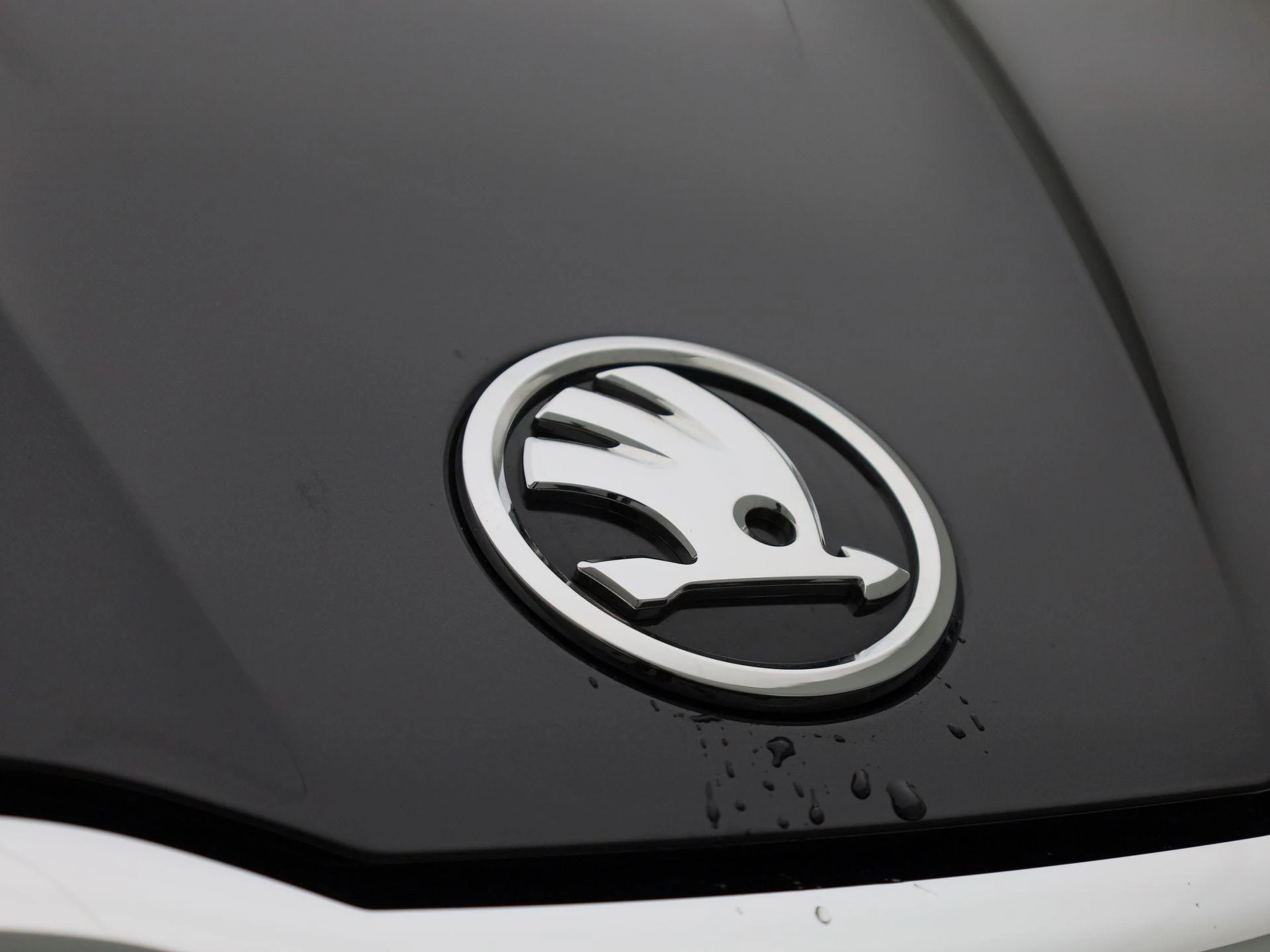 Škoda-Fabia-image-36