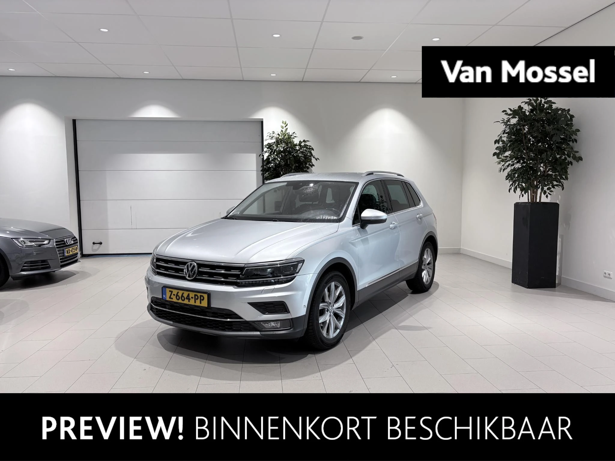 Volkswagen-Tiguan-image-0