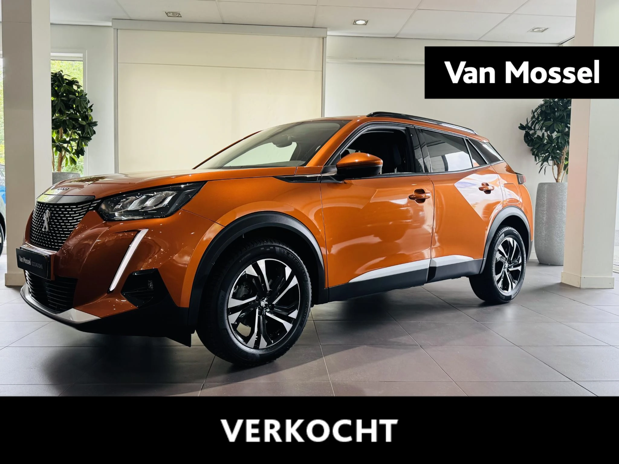 Peugeot-2008-image-0