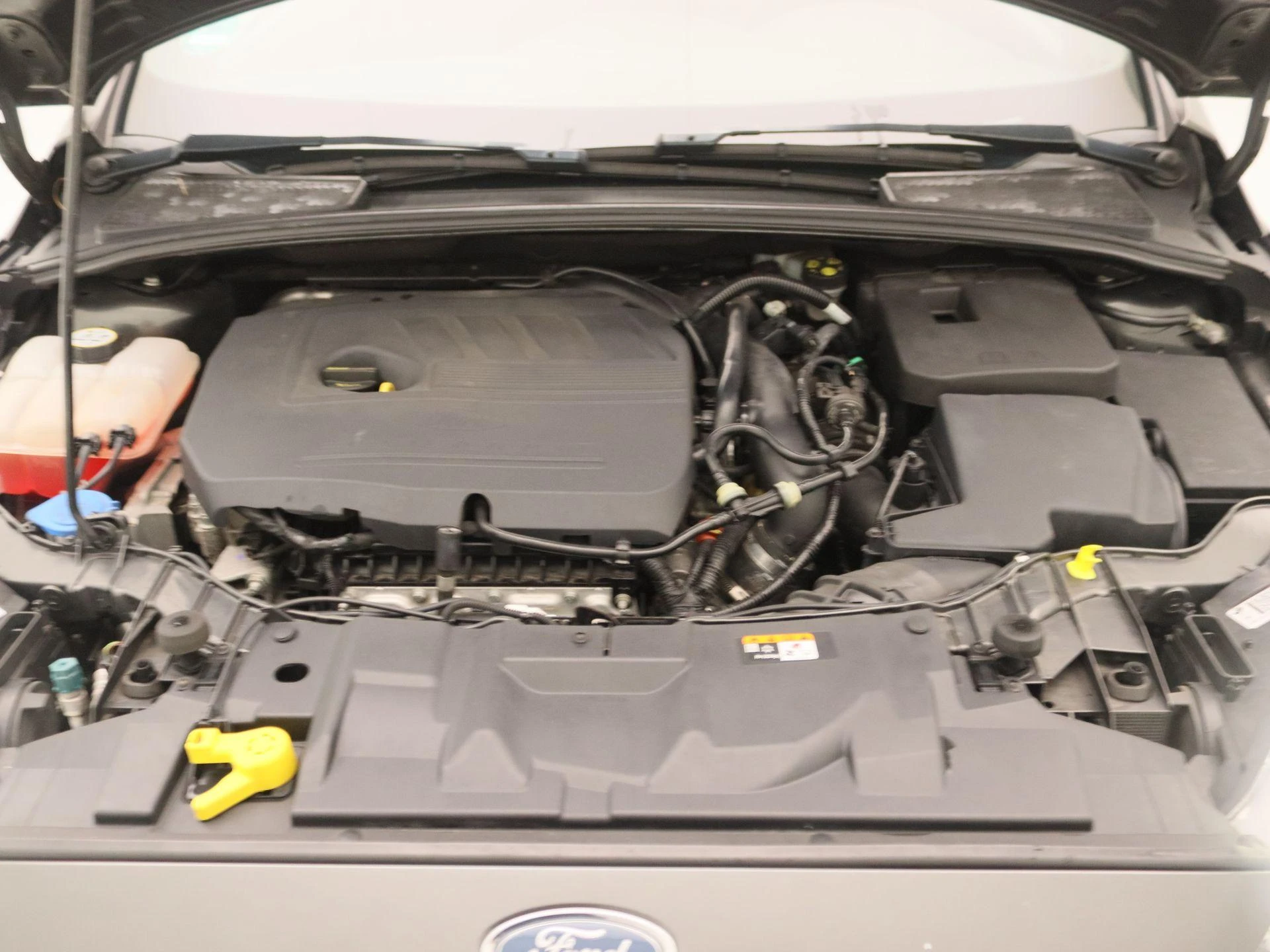 Ford-Focus-image-25