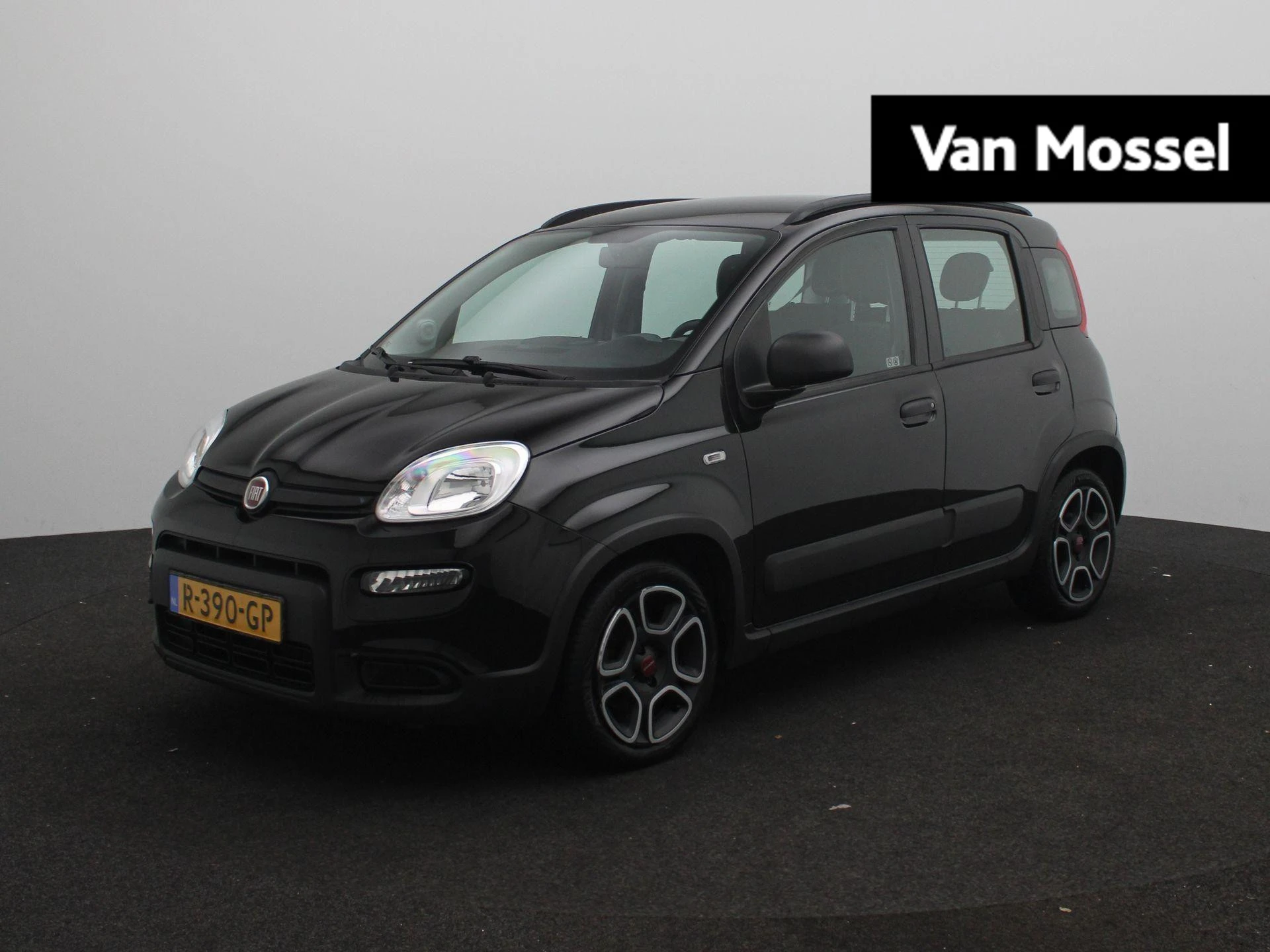 Fiat-Panda-image-0