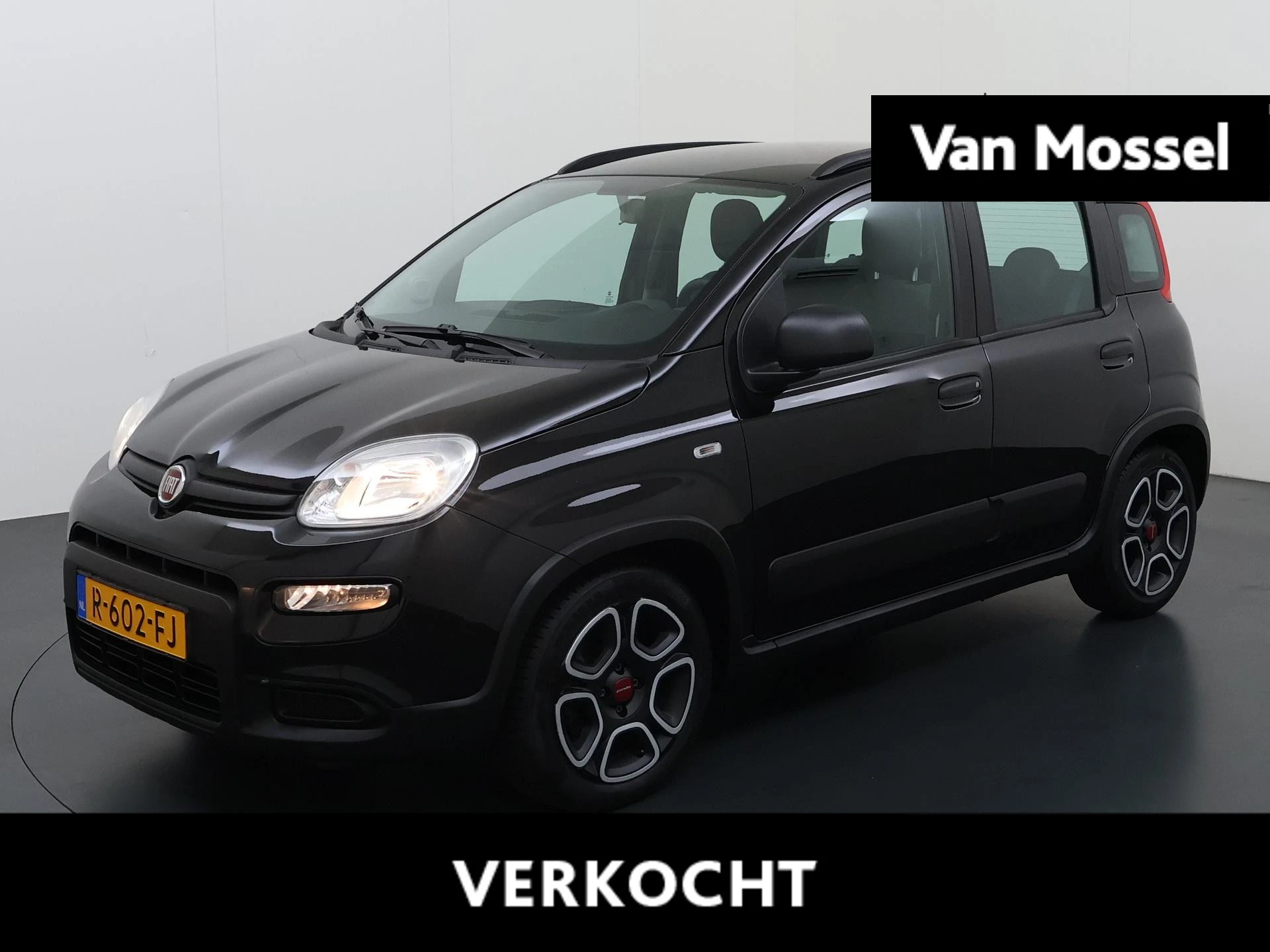 Fiat-Panda-image-0