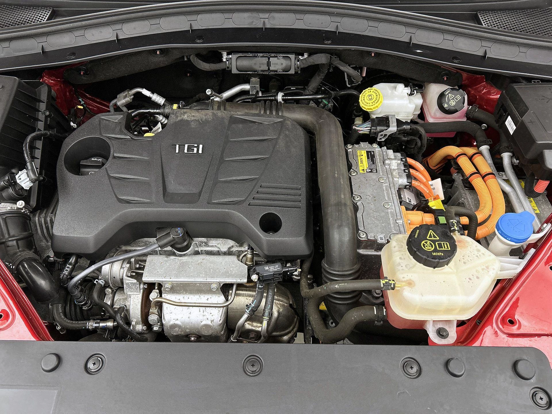 MG-EHS-image-39