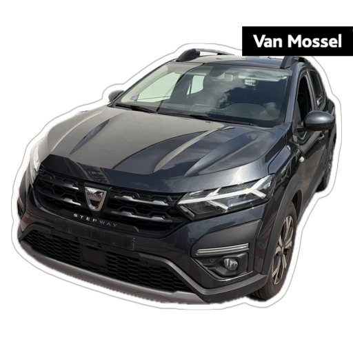 Dacia-Sandero Stepway-image-0